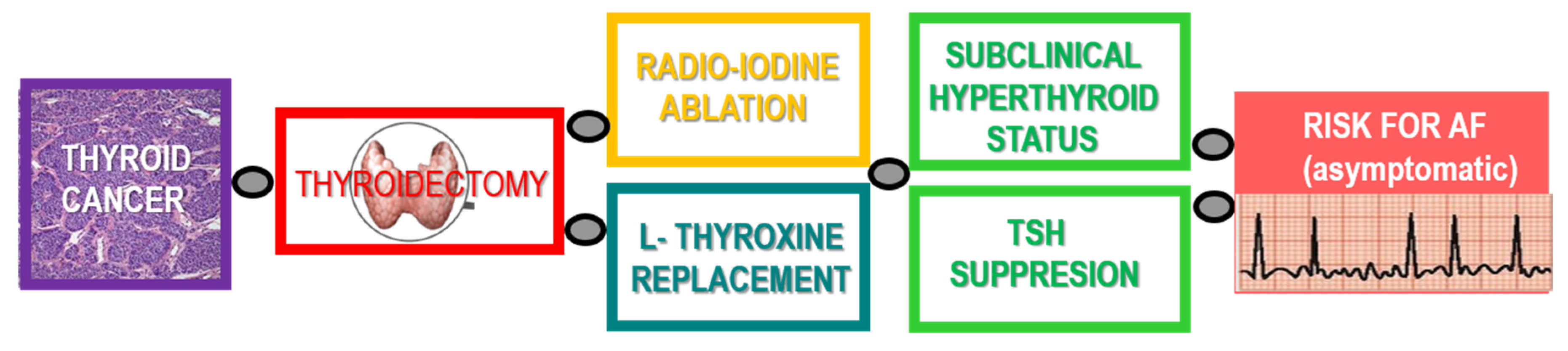 Ijms 21 02844 g002 Ijms 21 02844 g002