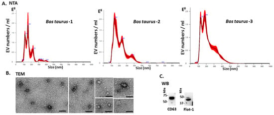 Ijms Free Full Text Post Translational Protein Deimination Signatures In Serum And Serum Extracellular Vesicles Of Bos Taurus Reveal Immune Anti Pathogenic Anti Viral Metabolic And Cancer Related Pathways For Deimination Html