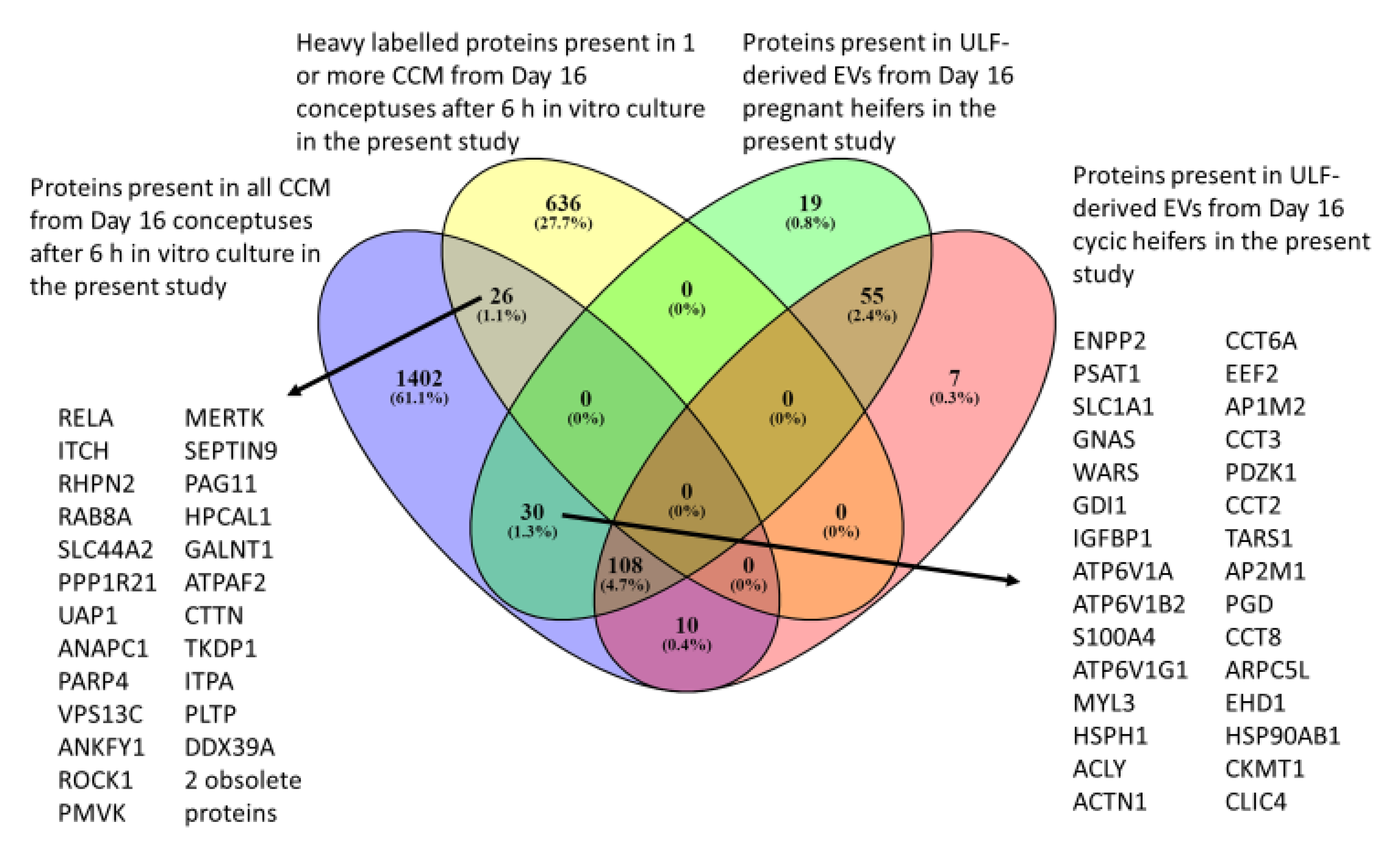 Ijms Free Full Text Protein Synthesis By Day 16 Bovine Conceptuses During The Time Of Maternal Recognition Of Pregnancy Html