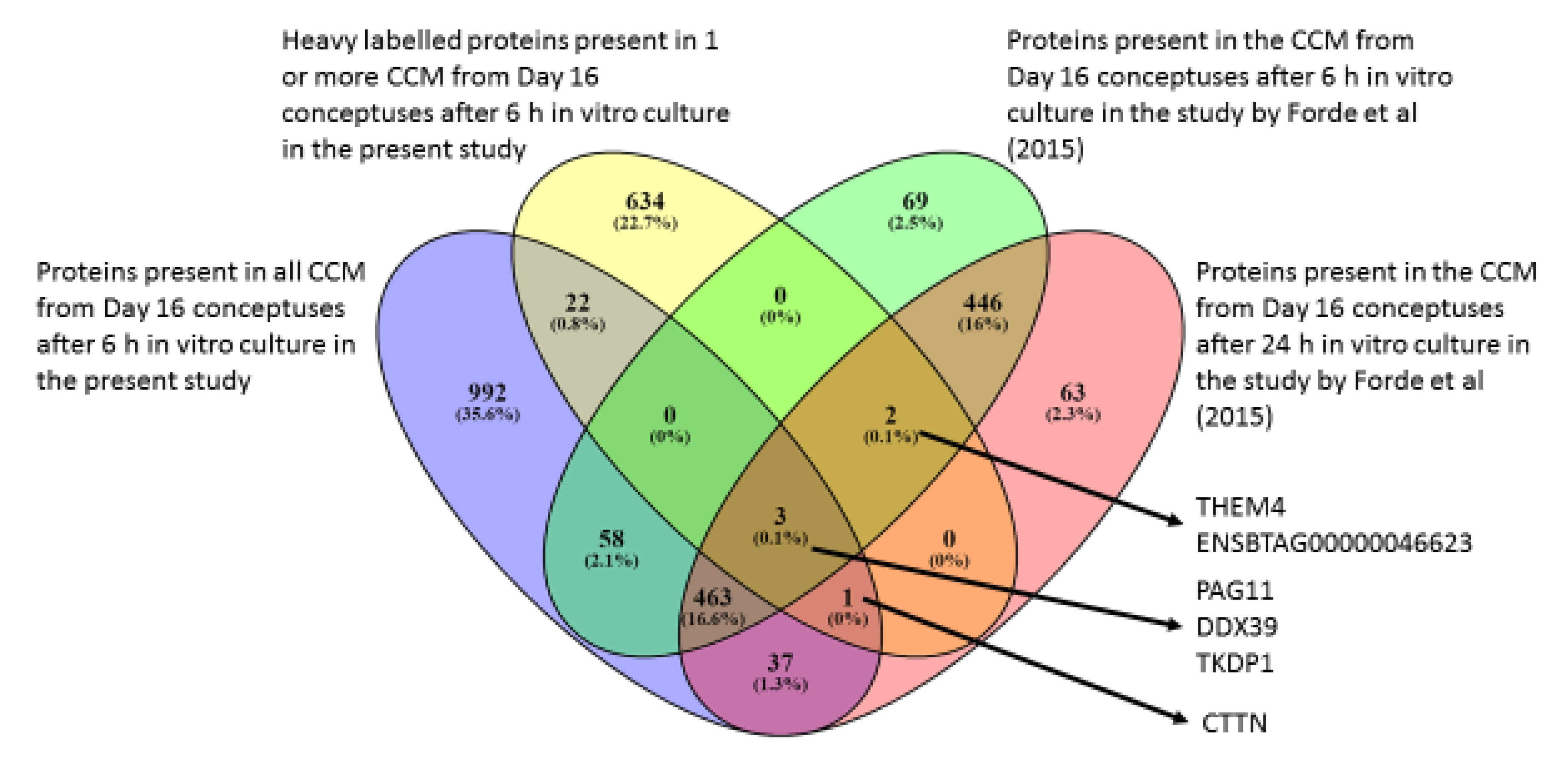 Ijms Free Full Text Protein Synthesis By Day 16 Bovine Conceptuses During The Time Of Maternal Recognition Of Pregnancy Html