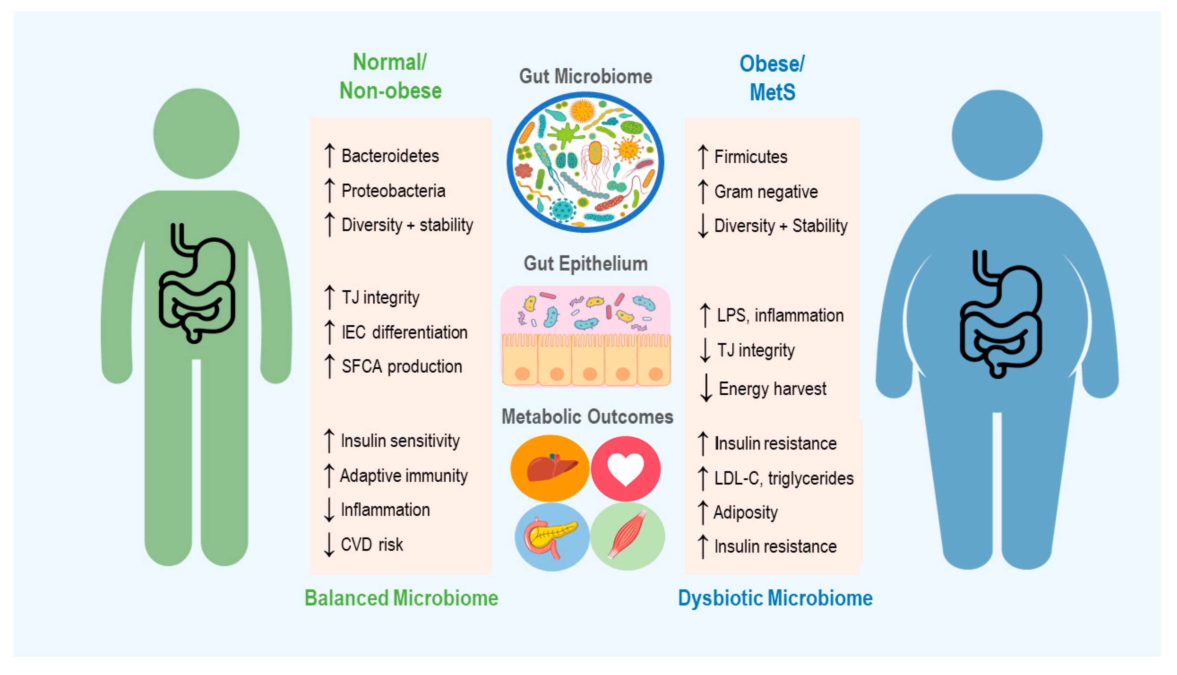 IJMS | Free Full-Text | Microbial Medicine: Prebiotic and Probiotic  Functional Foods to Target Obesity and Metabolic Syndrome