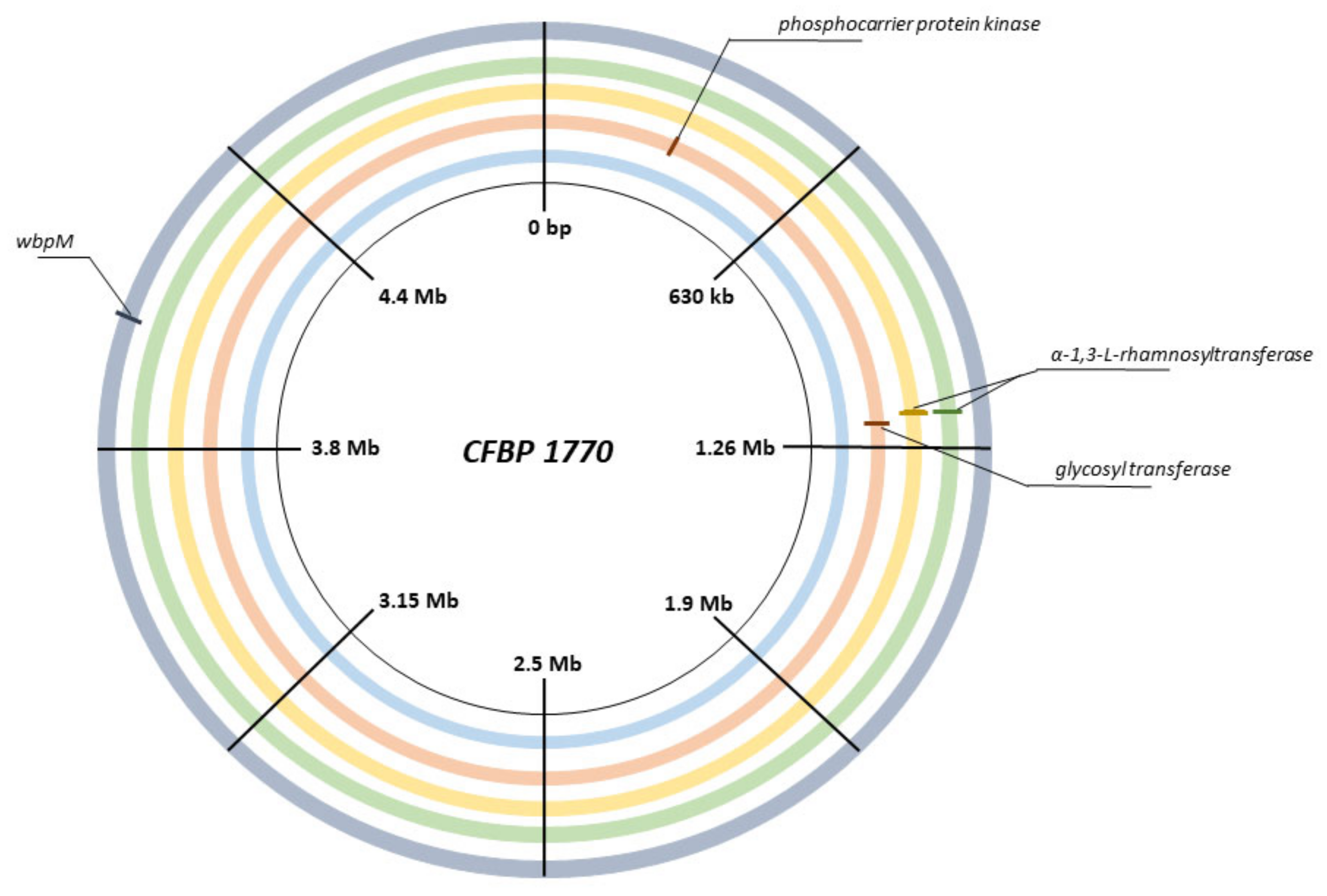 Download PSPO-II Pdf