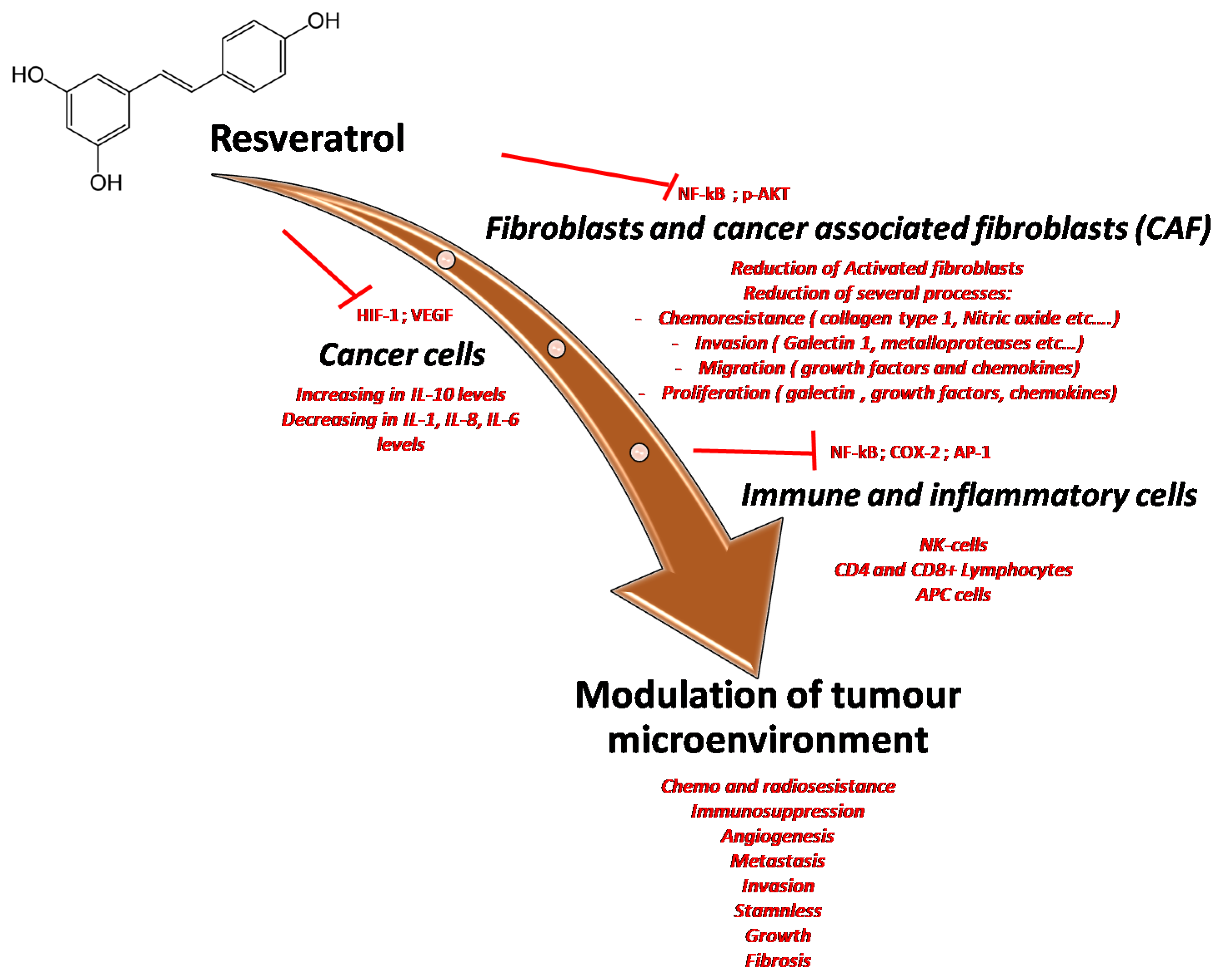 IJMS Free FullText Resveratrol in Cancer Patients From Bench to