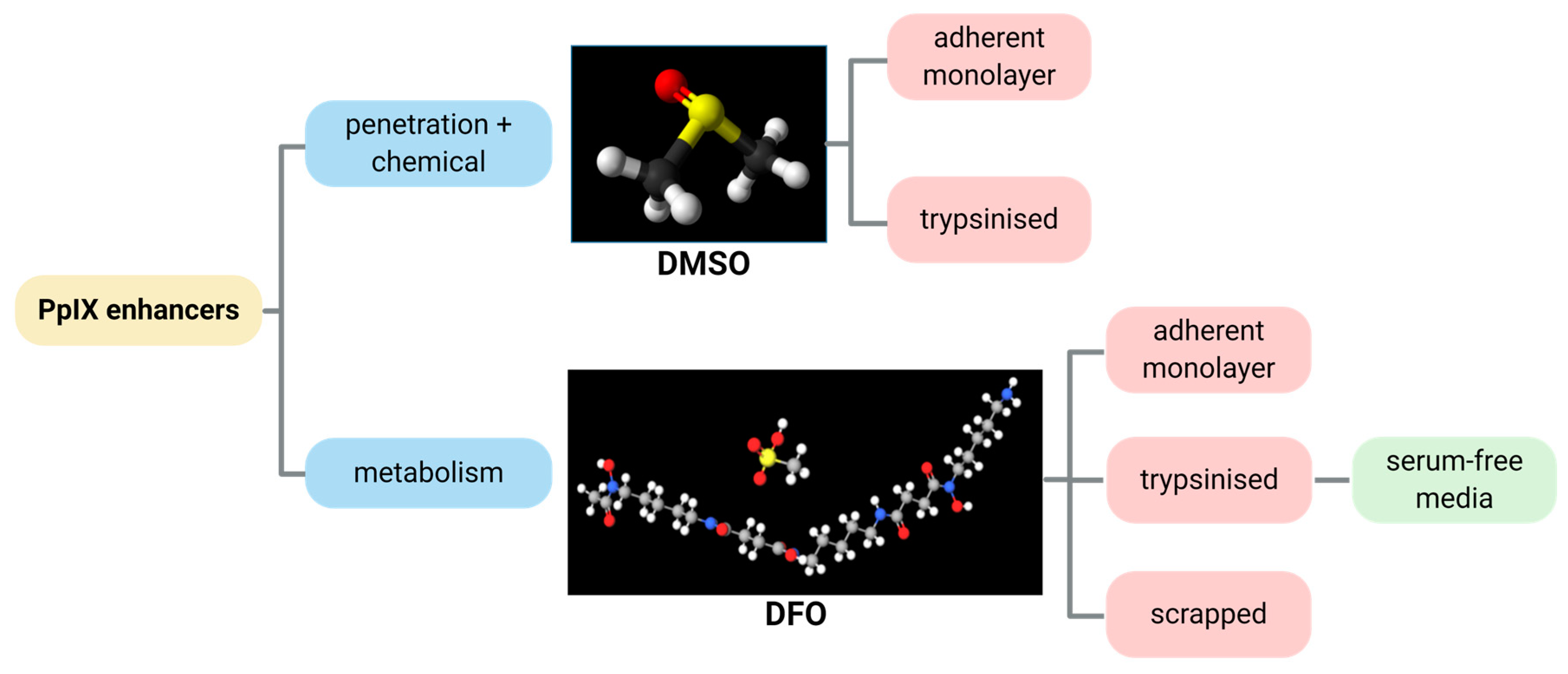 Ijms 21 02963 g002 Ijms 21 02963 g002