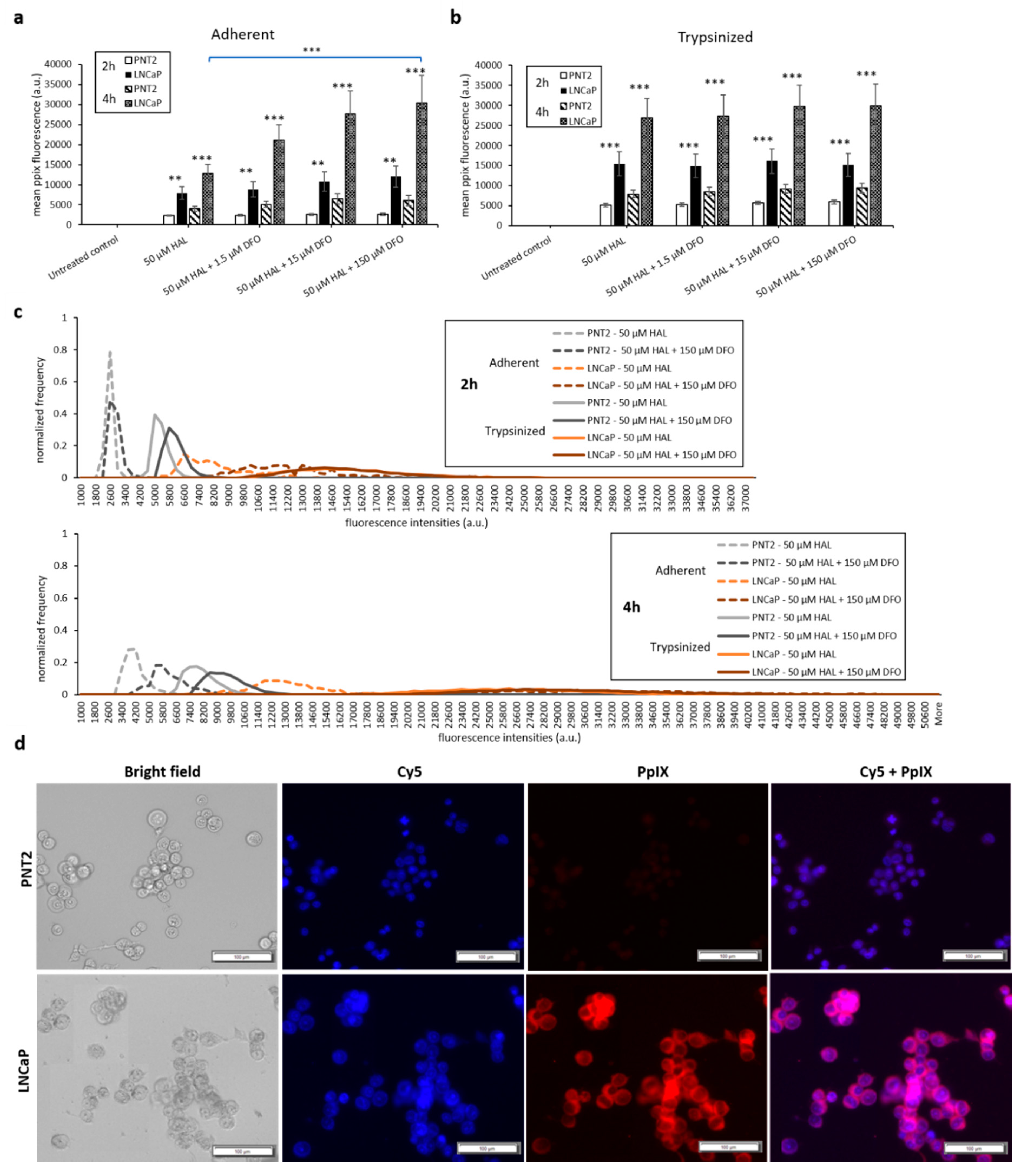 Ijms 21 02963 g006 Ijms 21 02963 g006