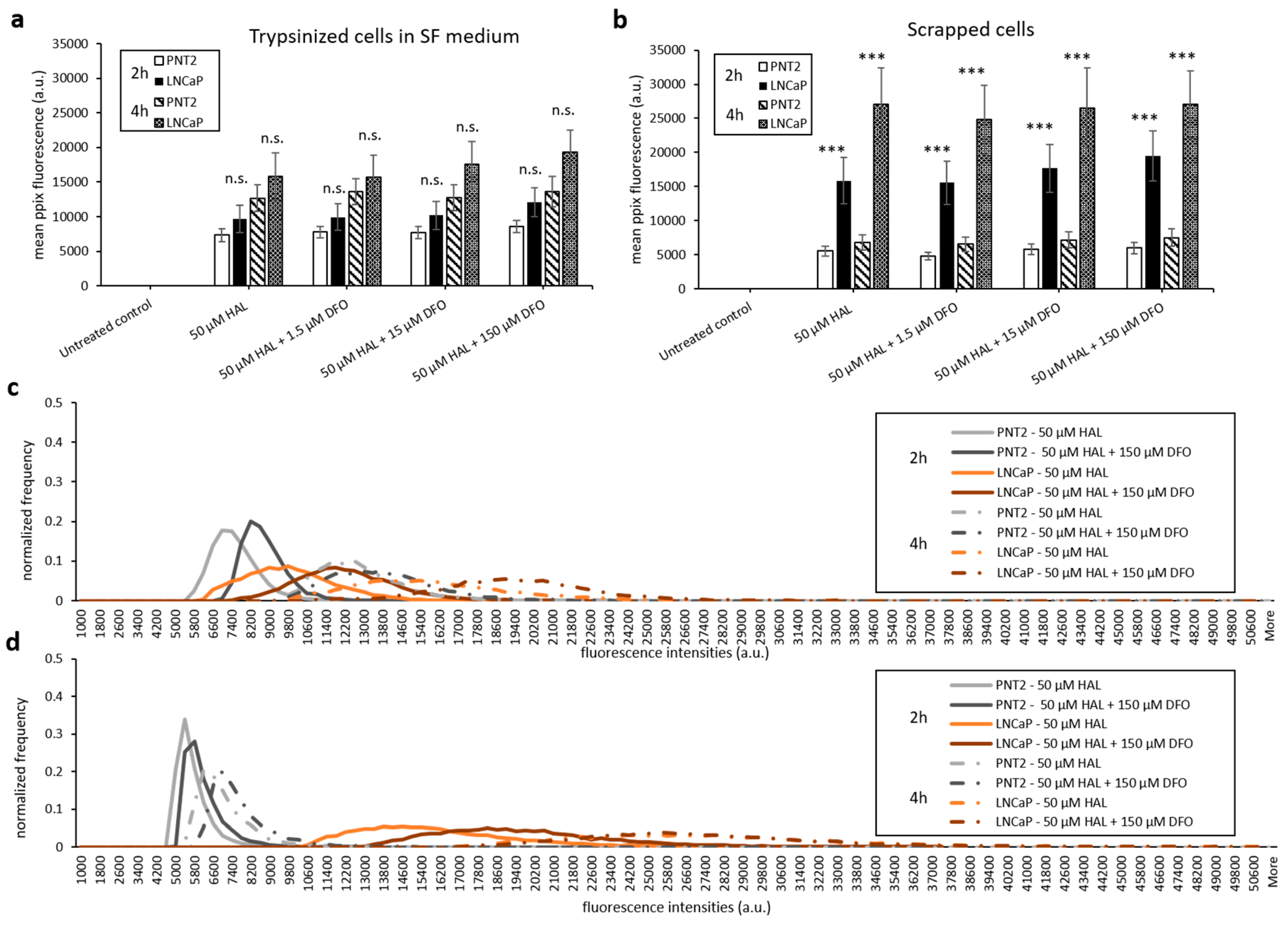 Ijms 21 02963 g008 Ijms 21 02963 g008