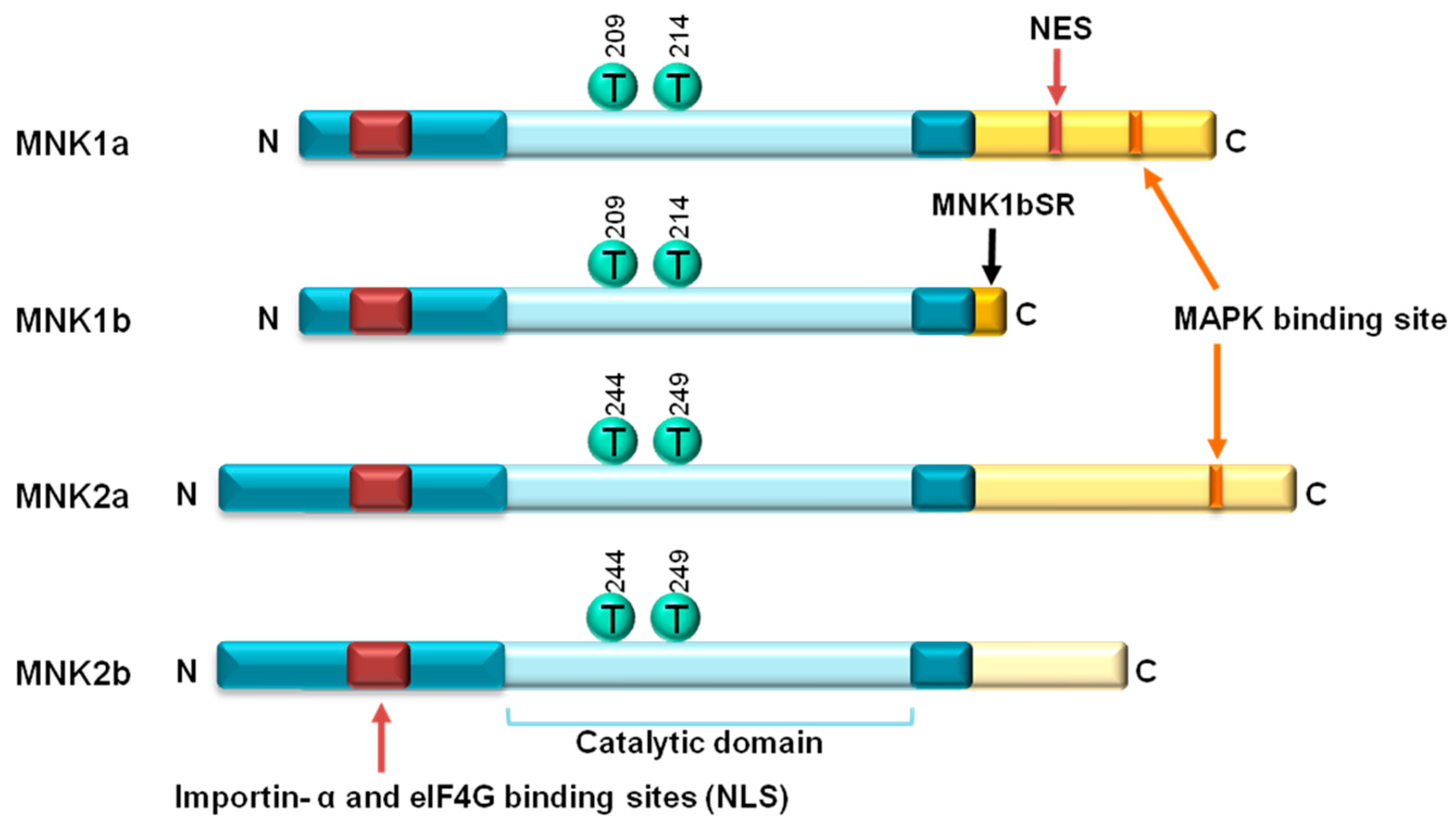 Ijms 21 02967 g001 Ijms 21 02967 g001