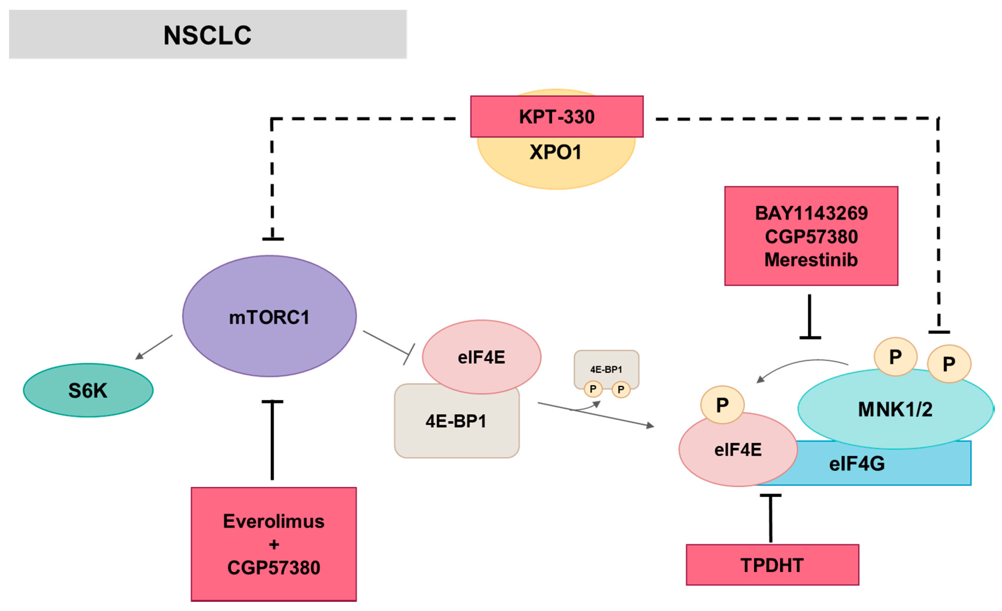 Ijms 21 02967 g006 Ijms 21 02967 g006
