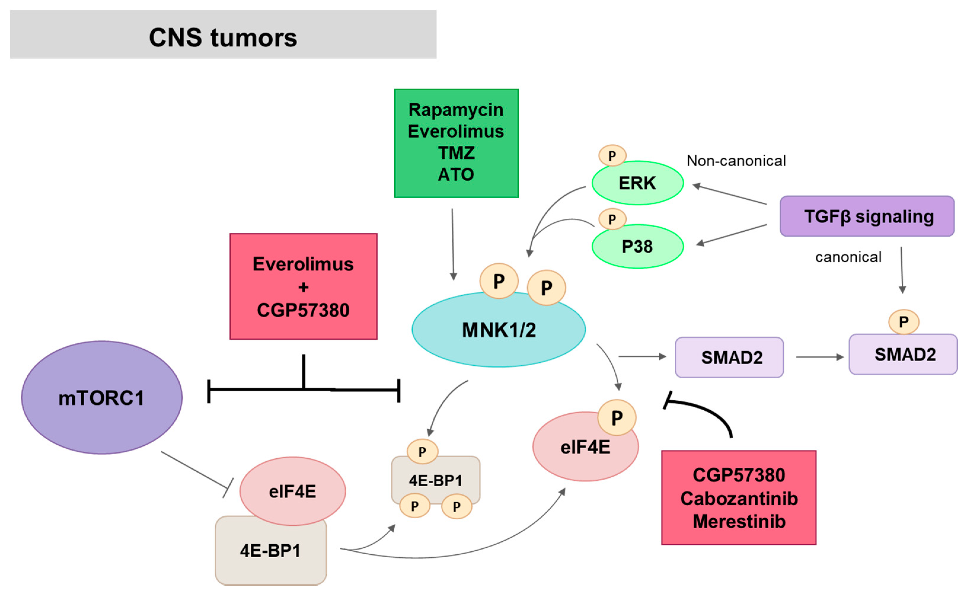 Ijms 21 02967 g009 Ijms 21 02967 g009
