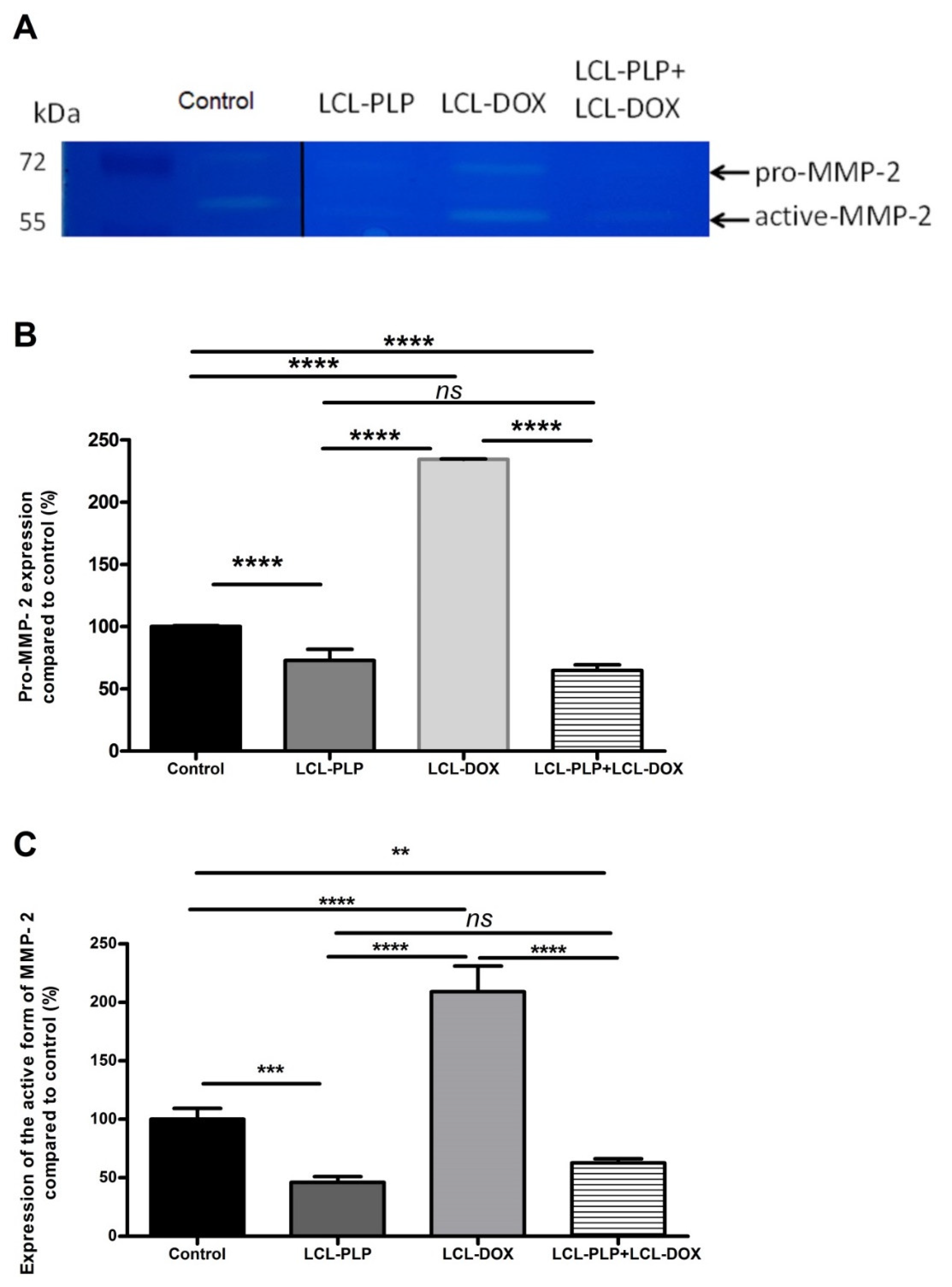 Ijms 21 02968 g005 Ijms 21 02968 g005