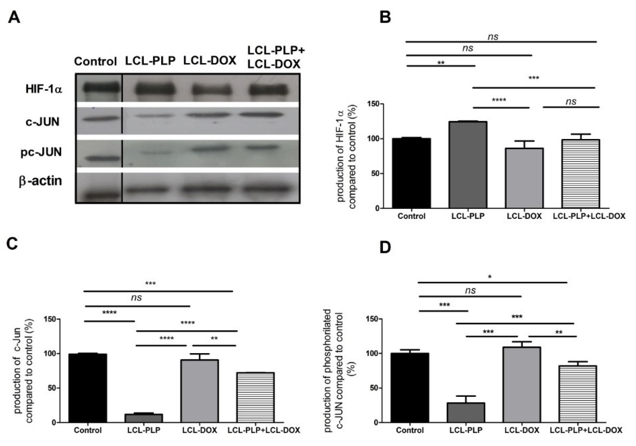 Ijms 21 02968 g006 Ijms 21 02968 g006