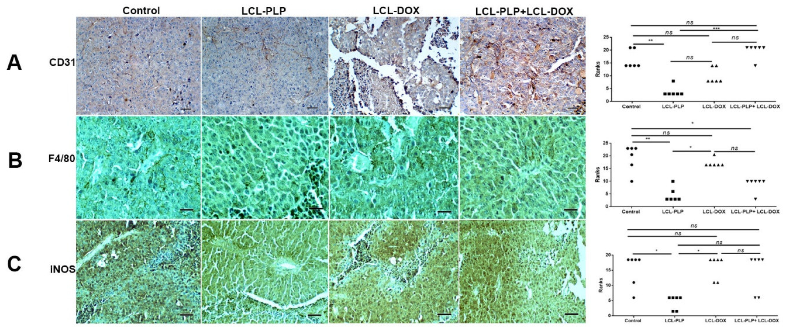 Ijms 21 02968 g007 Ijms 21 02968 g007