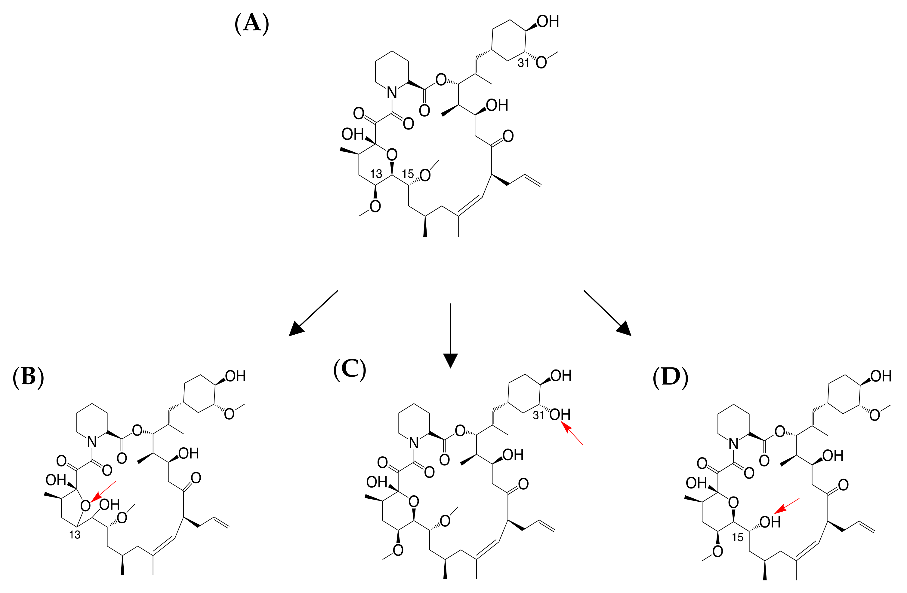 Ijms 21 02976 g001 Ijms 21 02976 g001