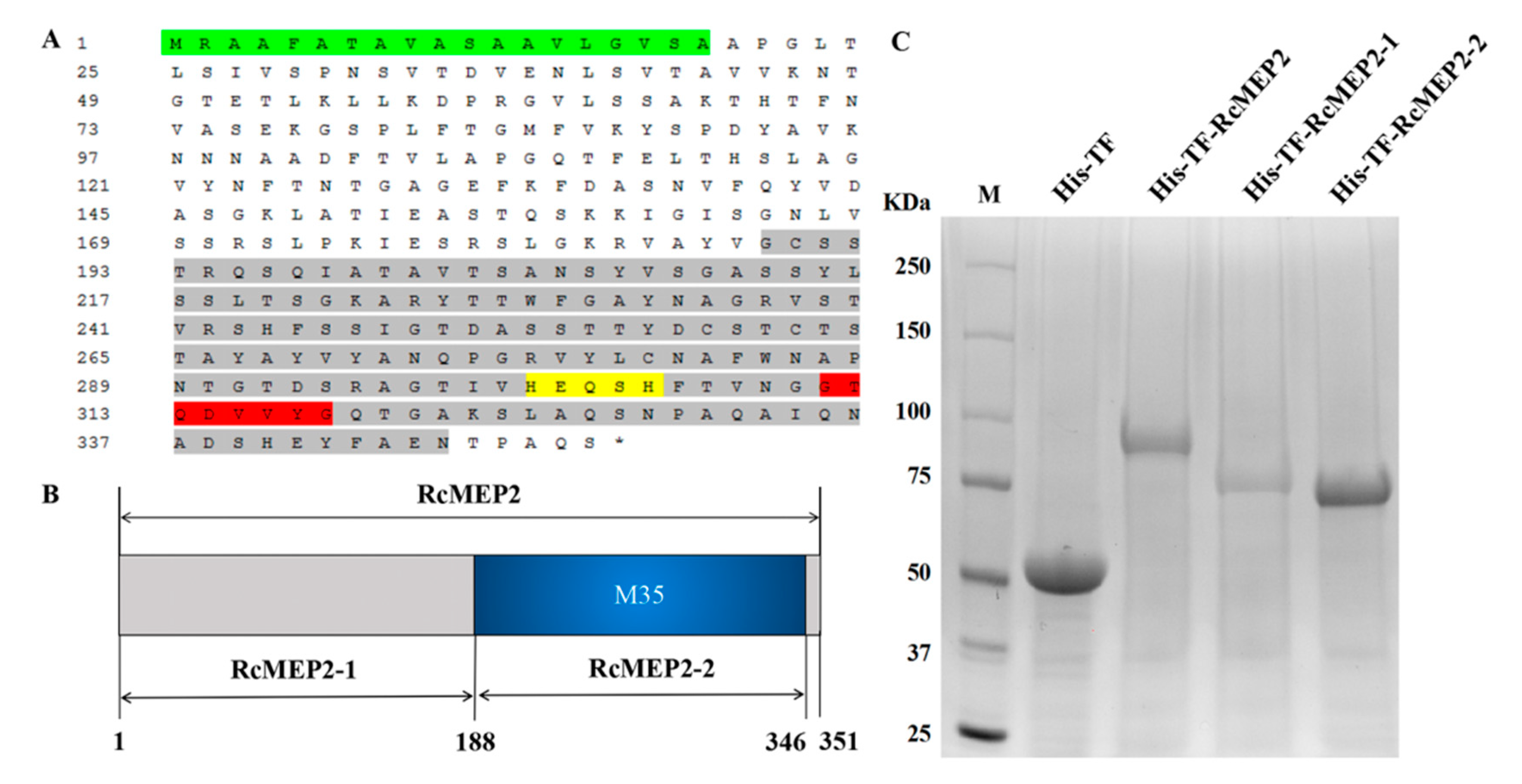 Ijms 21 02984 g003 Ijms 21 02984 g003