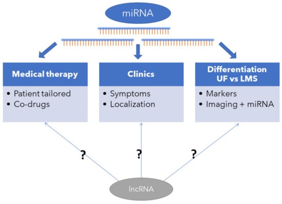 Ijms Free Full Text The Role Of Mirna And Related Pathways In