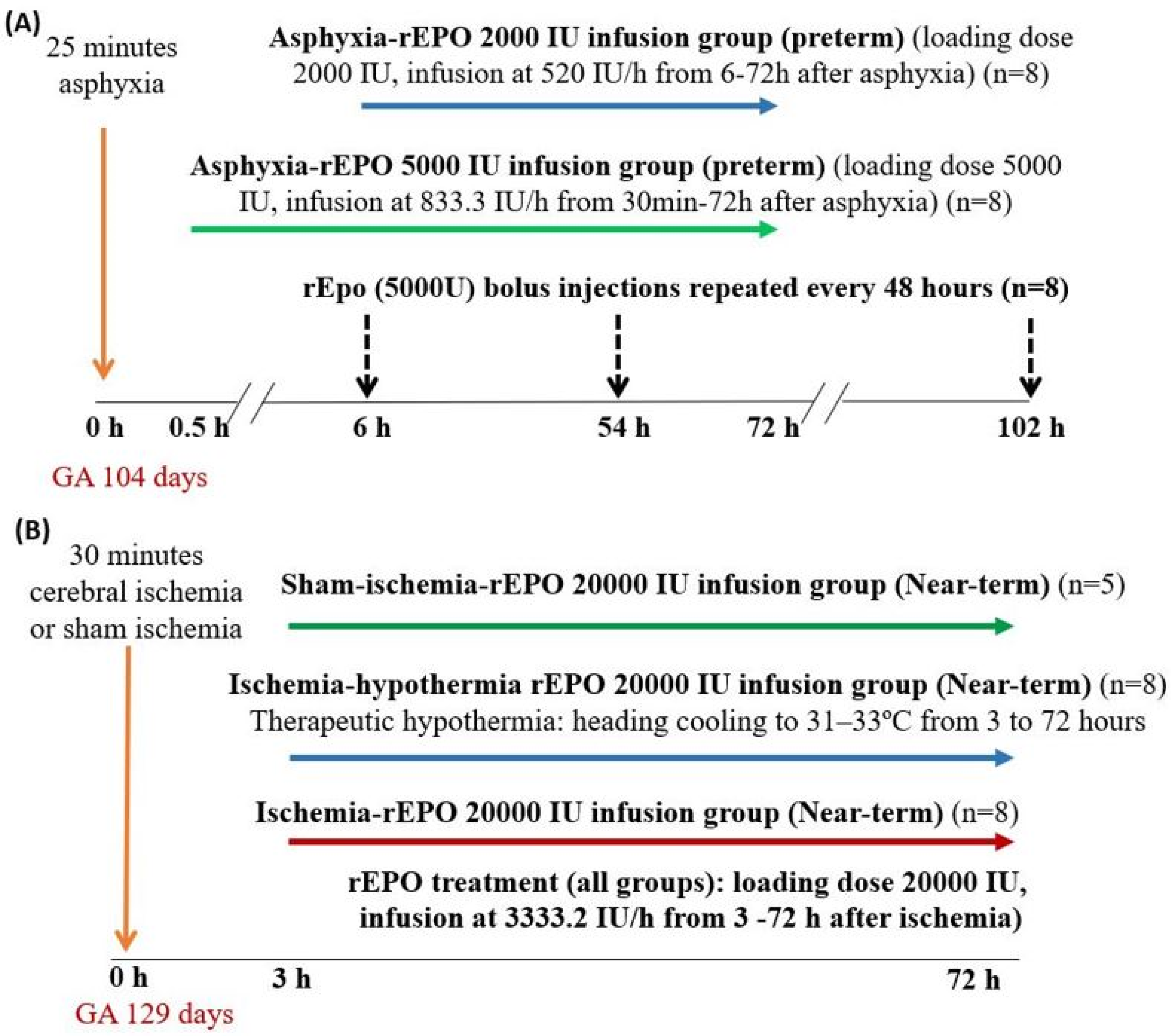 Ijms 21 03042 g007 Ijms 21 03042 g007