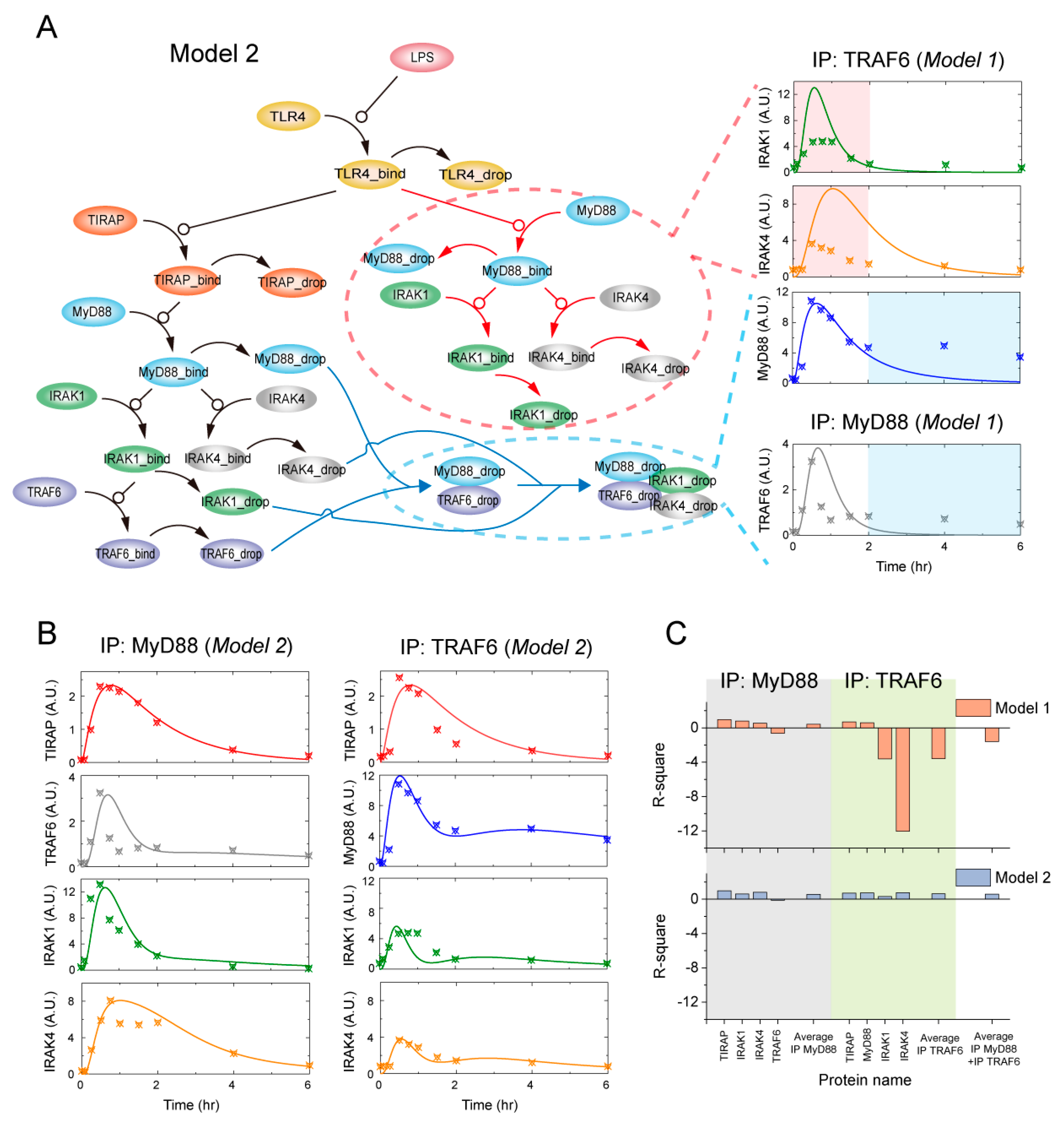 Ijms 21 03061 g002 Ijms 21 03061 g002