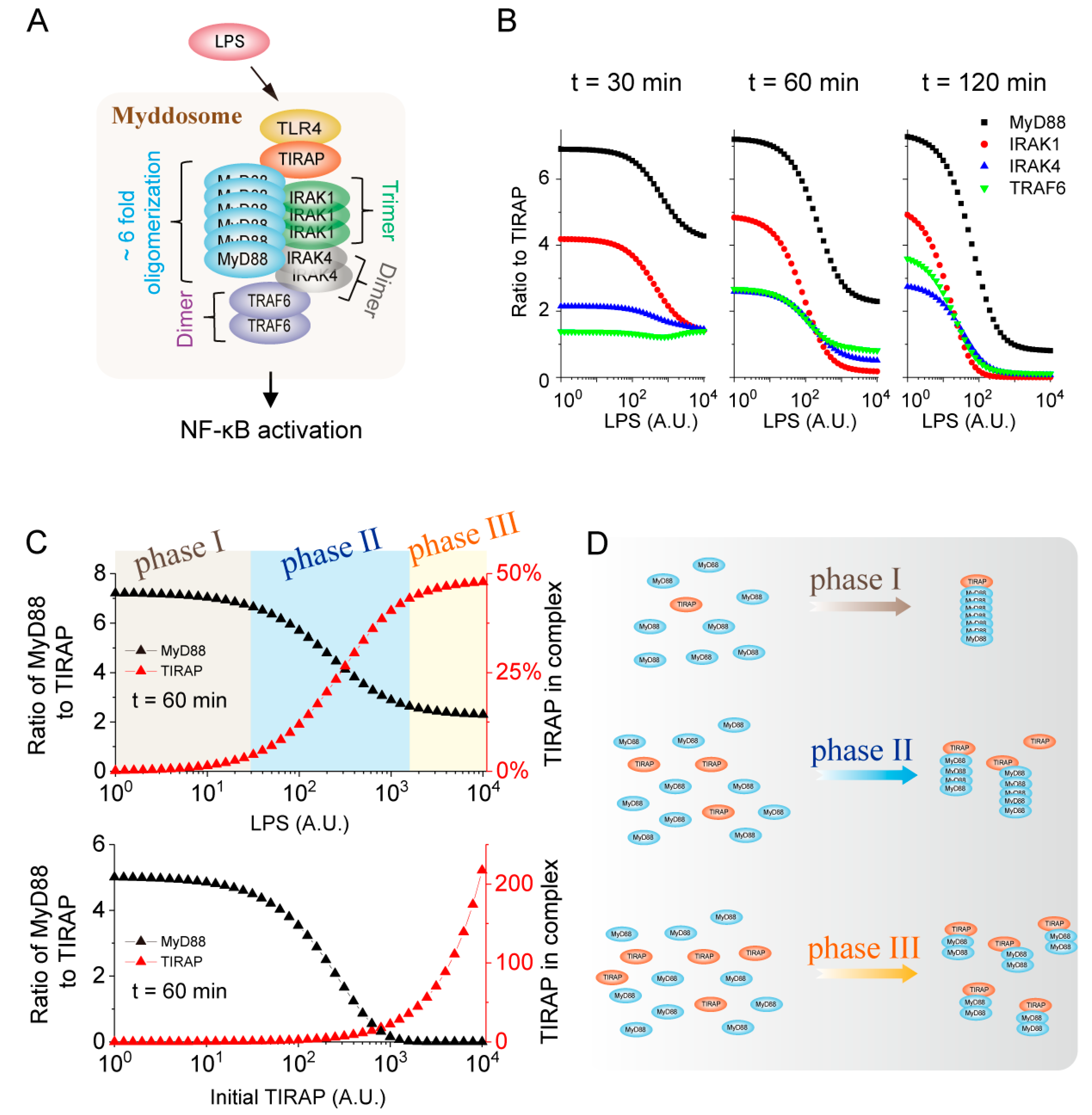 Ijms 21 03061 g004 Ijms 21 03061 g004
