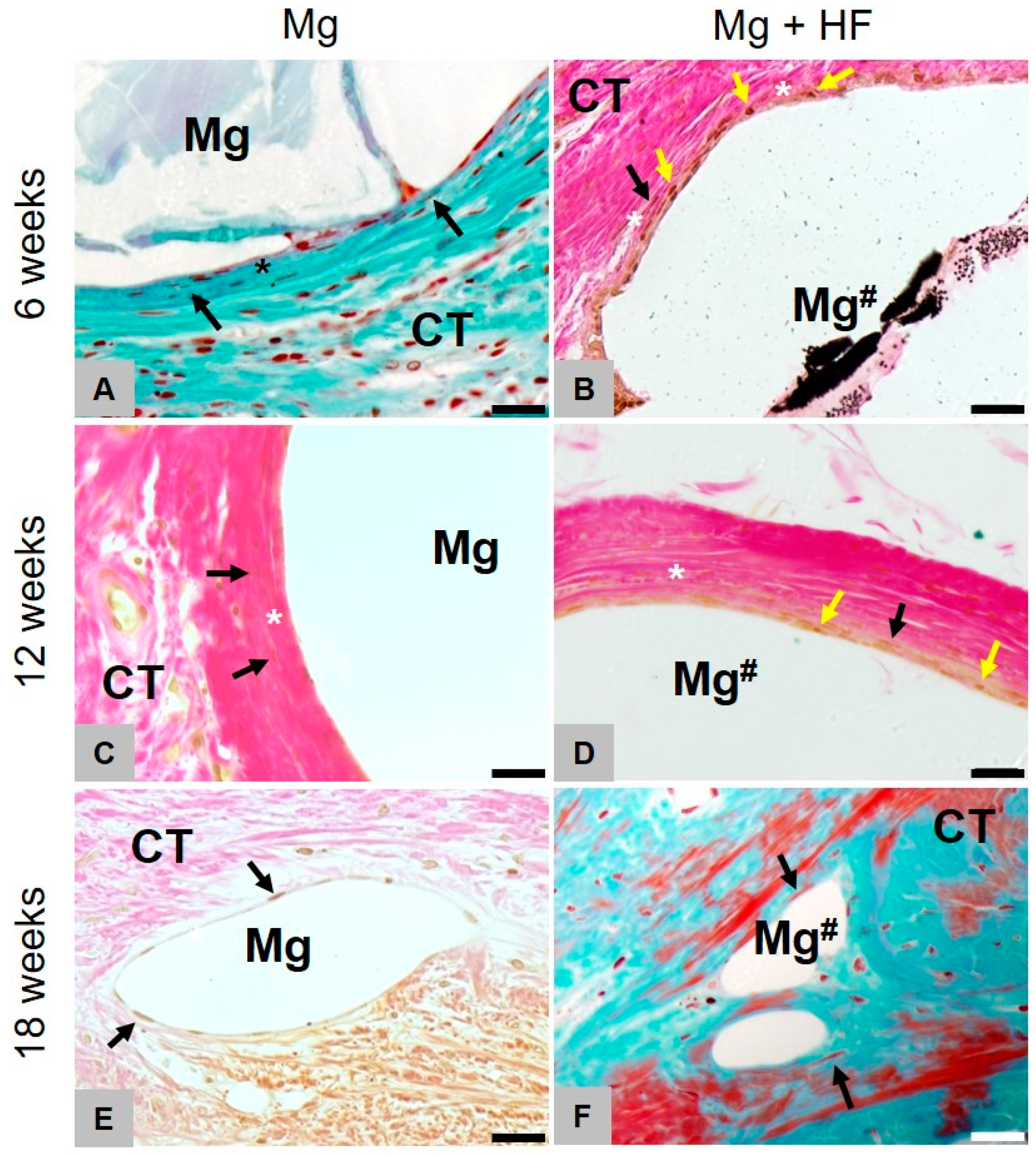 Ijms 21 03098 g007 Ijms 21 03098 g007