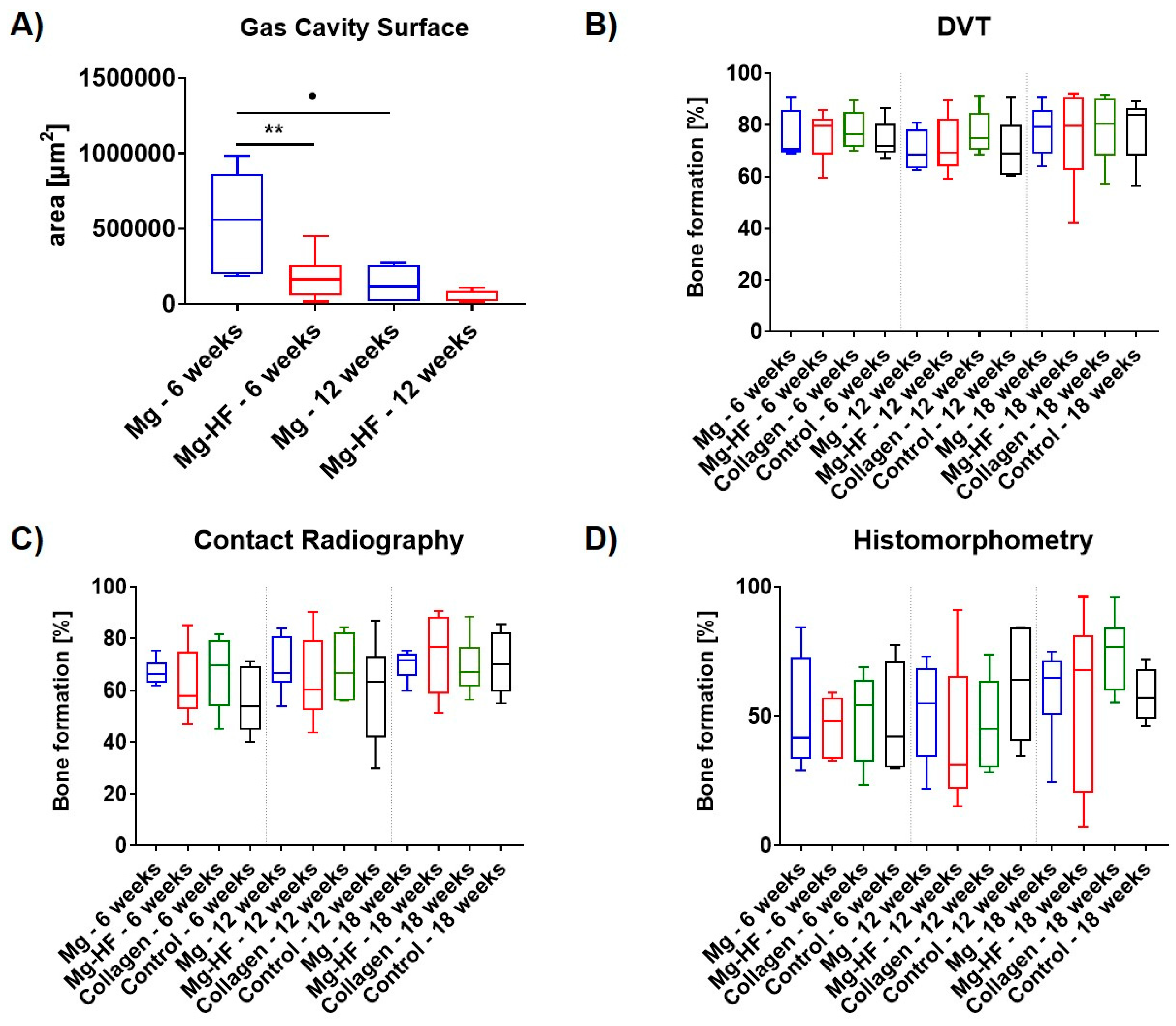 Ijms 21 03098 g008 Ijms 21 03098 g008