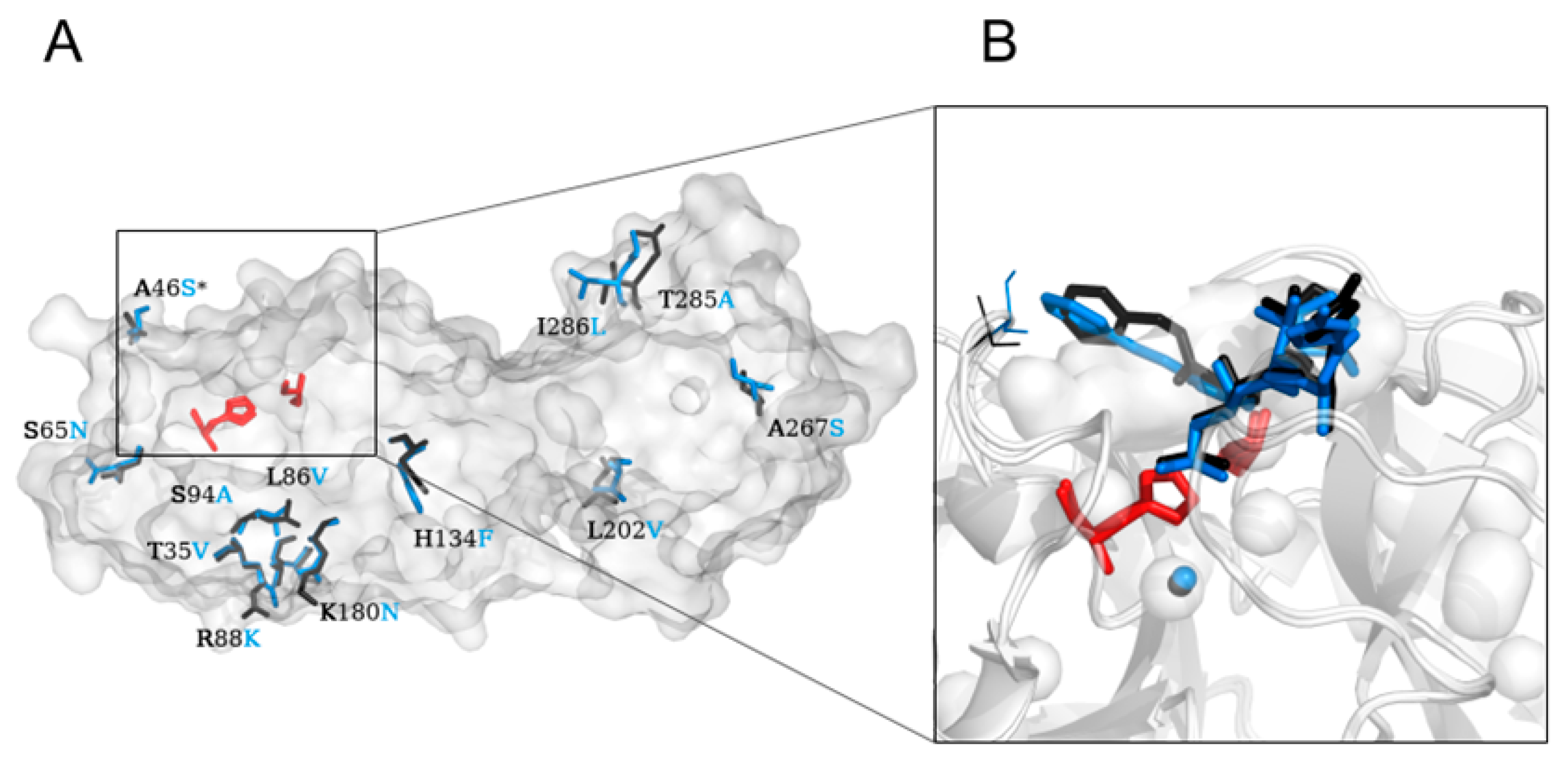 Ijms Free Full Text Structural And Evolutionary Analysis Indicate That The Sars Cov 2 Mpro Is A Challenging Target For Small Molecule Inhibitor Design Html