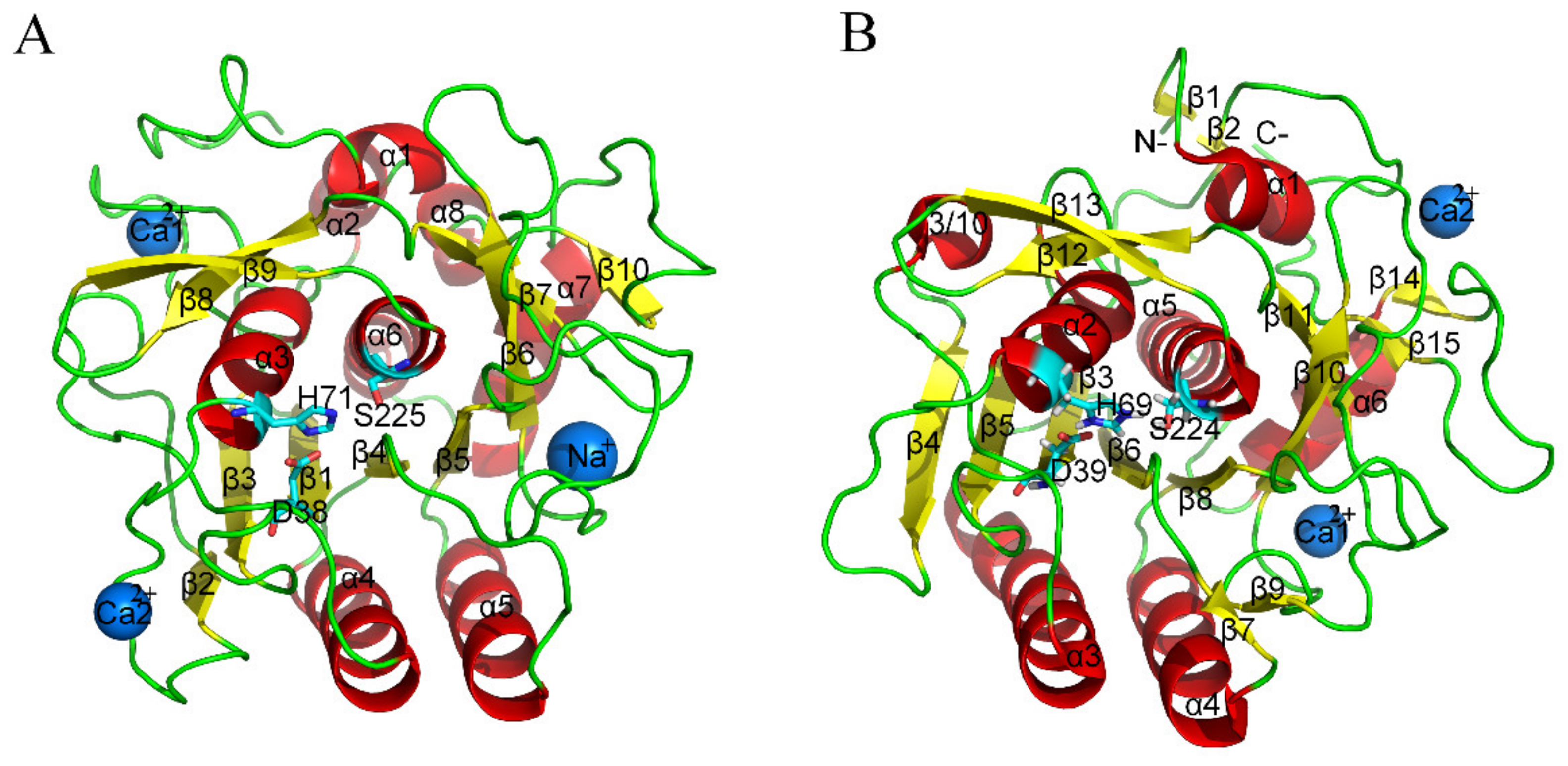 Ijms 21 03128 g001 Ijms 21 03128 g001