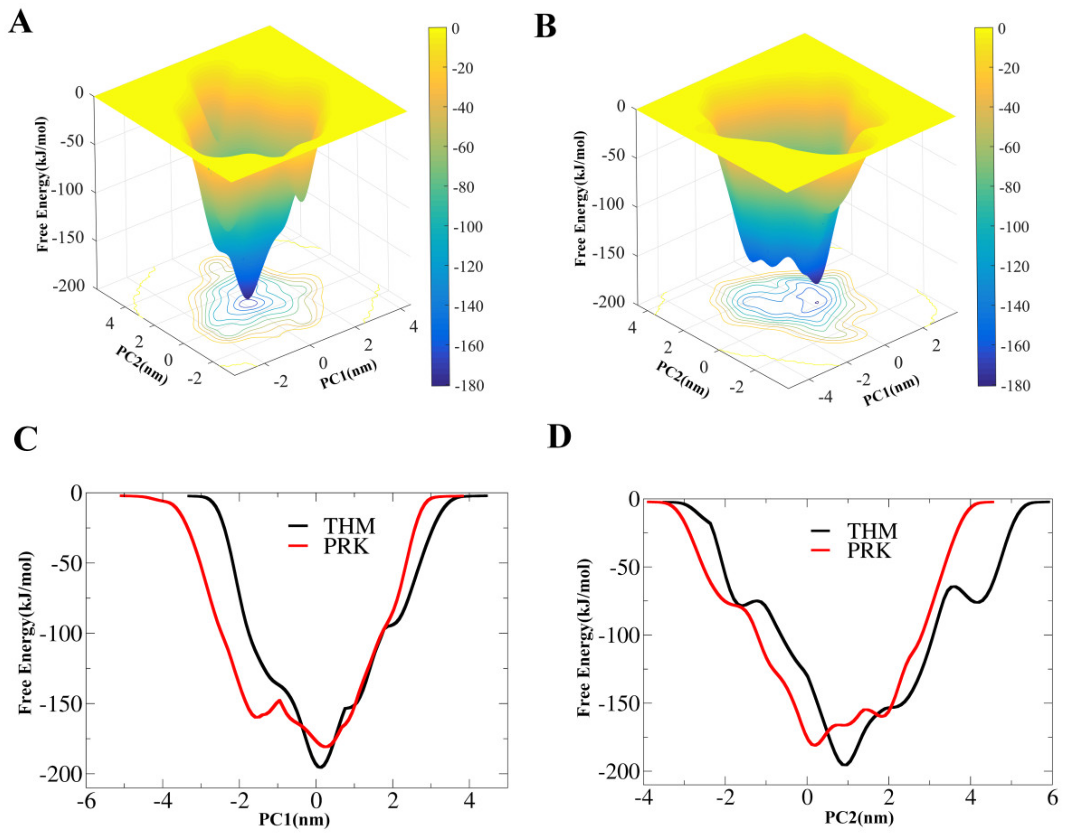 Ijms 21 03128 g005 Ijms 21 03128 g005