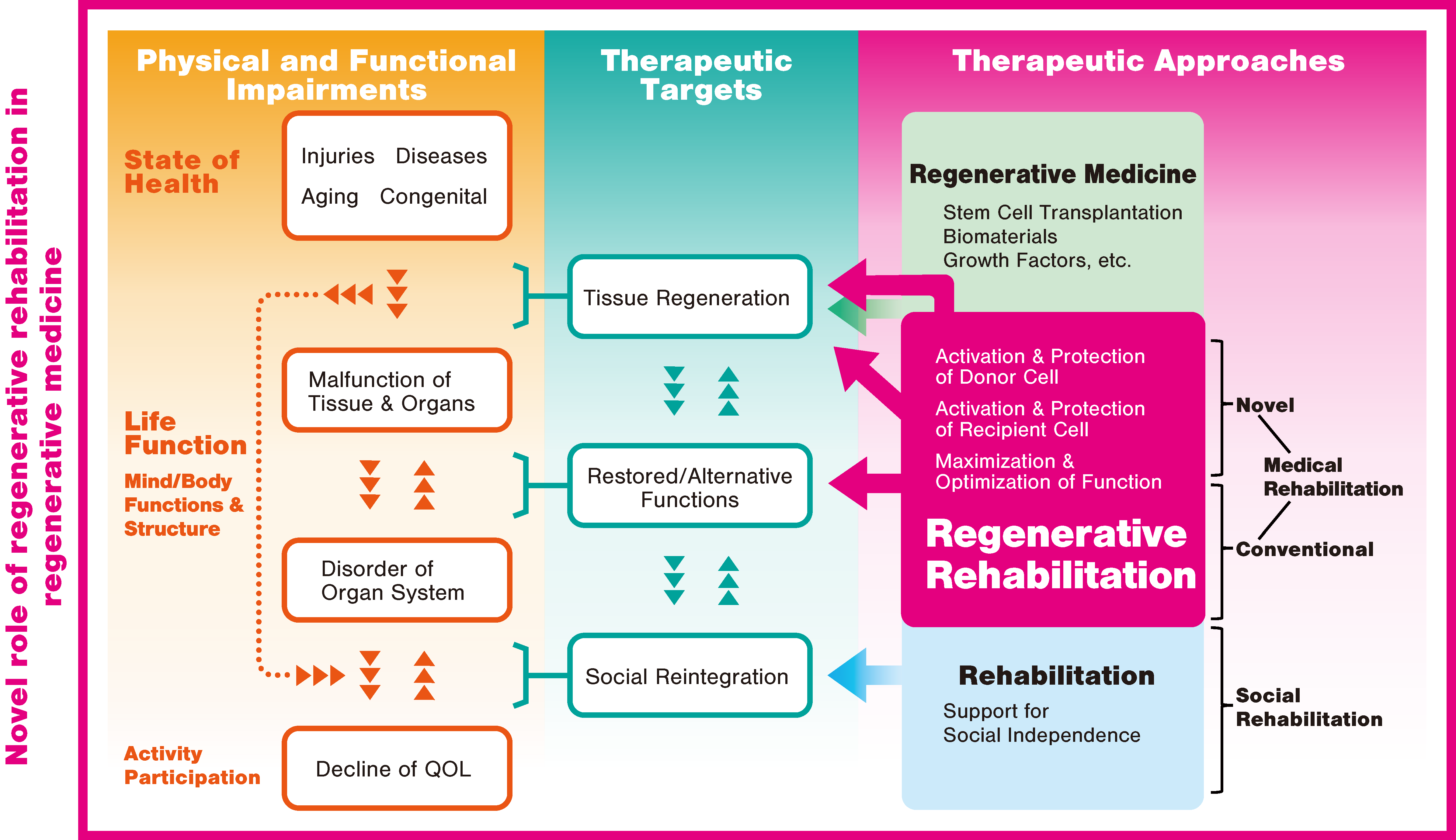 https://www.mdpi.com/ijms/ijms-21-03135/article_deploy/html/images/ijms-21-03135-g003.png