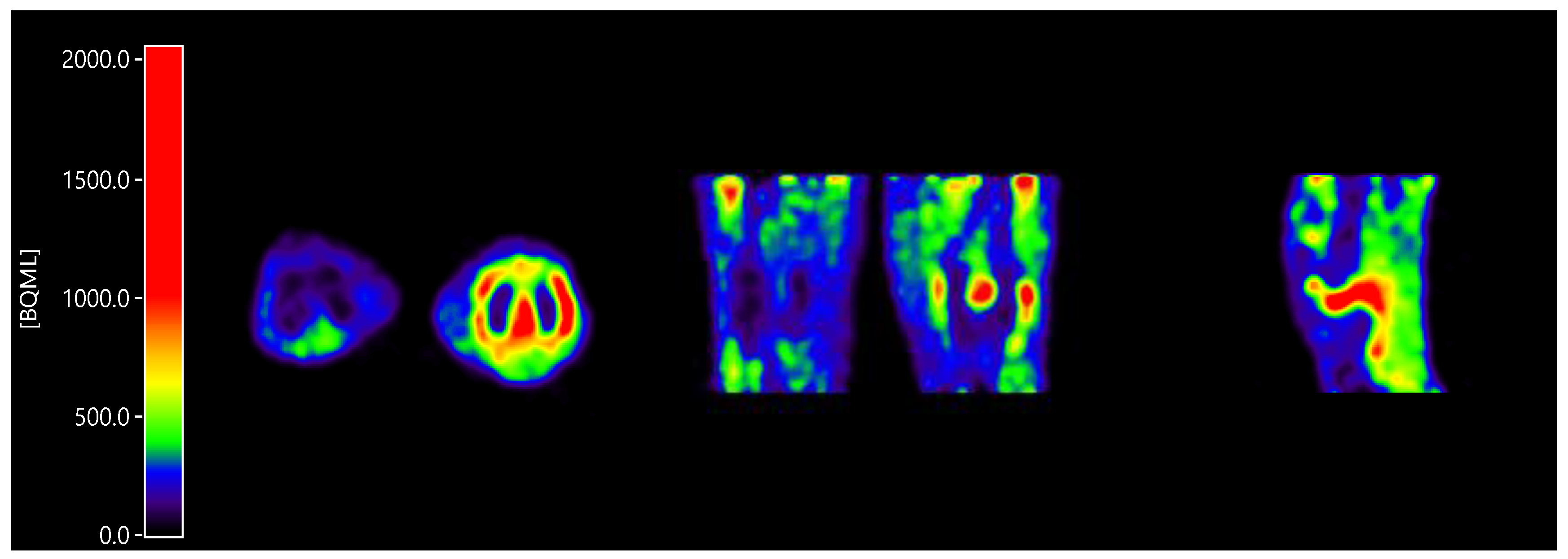 Ijms 21 03137 g001 Ijms 21 03137 g001