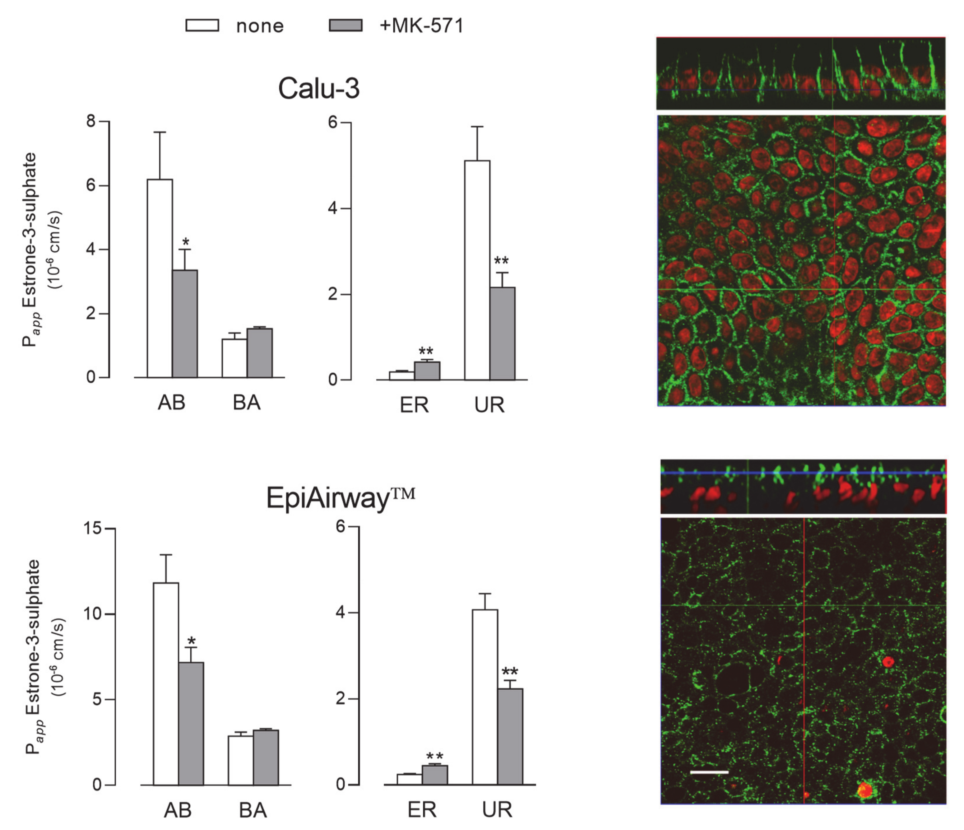 Ijms 21 03190 g006 Ijms 21 03190 g006