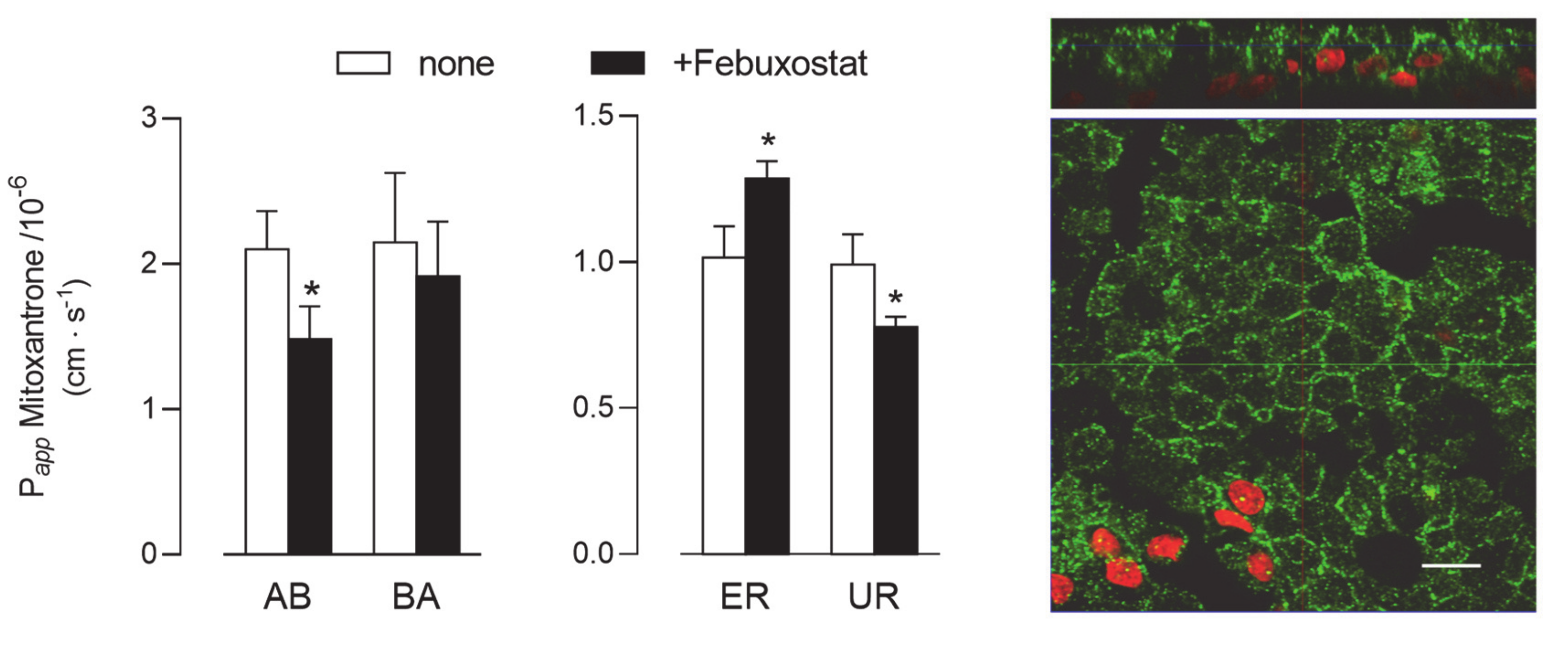 Ijms 21 03190 g007 Ijms 21 03190 g007