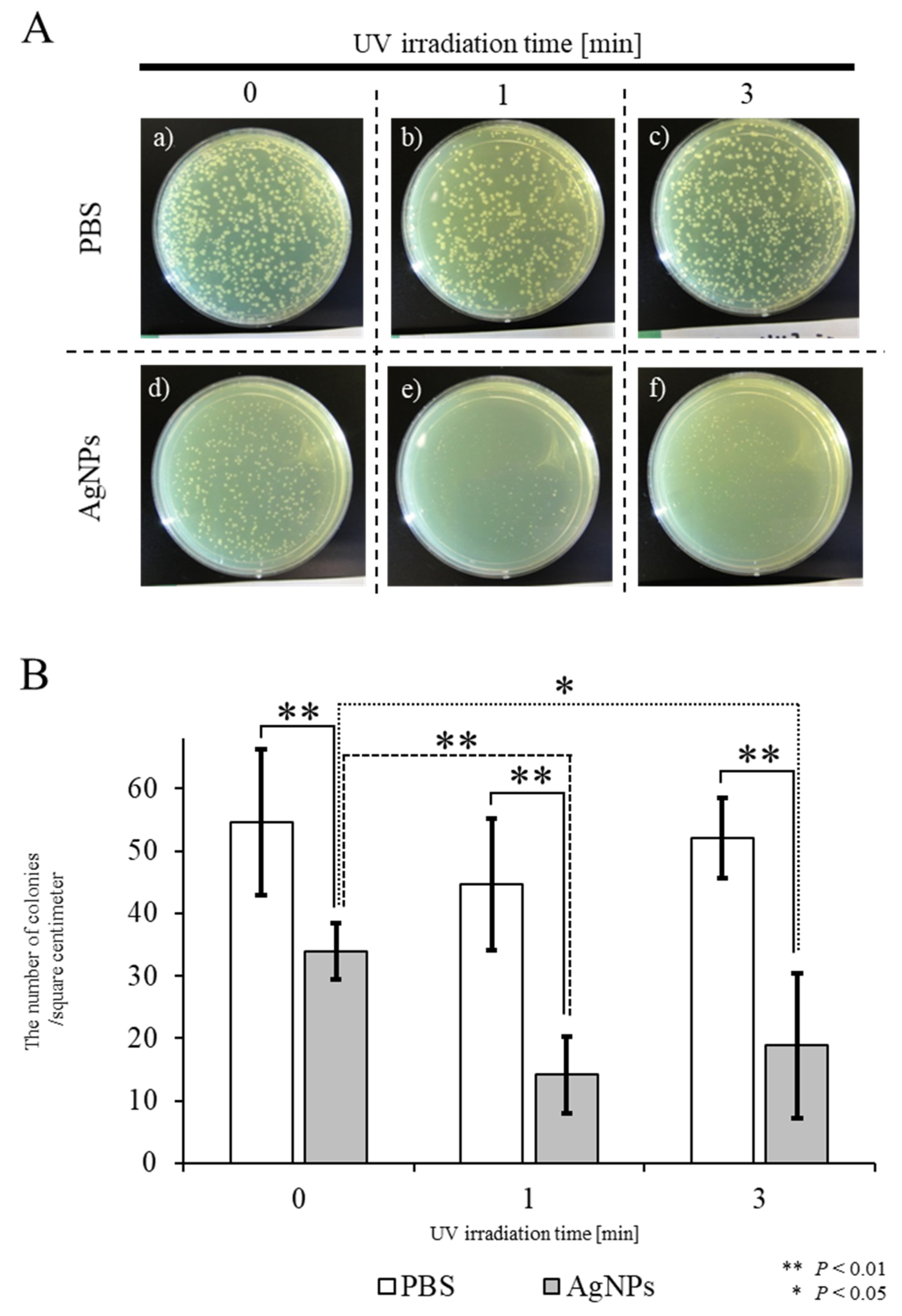 Ijms 21 03204 g003 Ijms 21 03204 g003