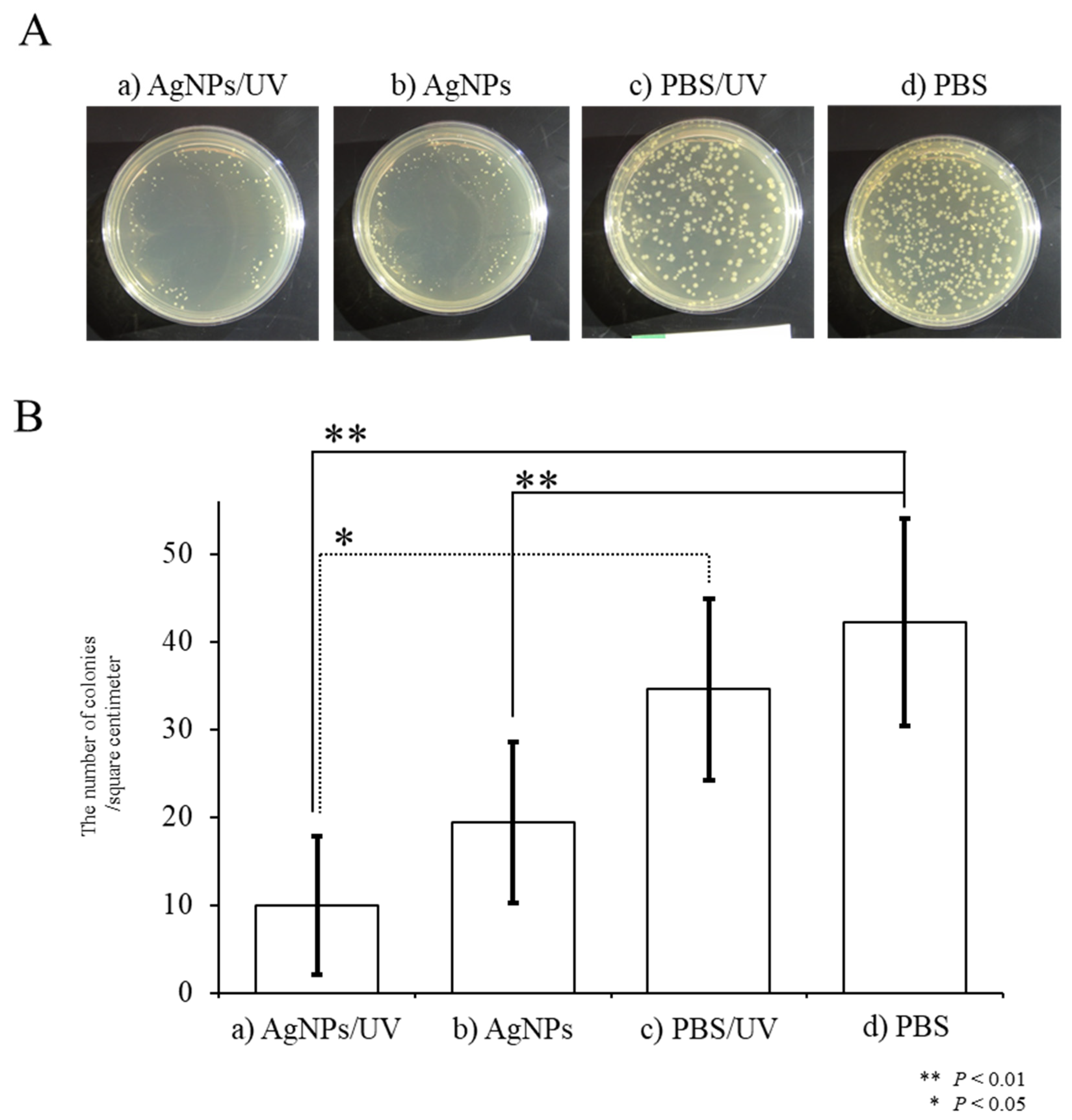 Ijms 21 03204 g004 Ijms 21 03204 g004