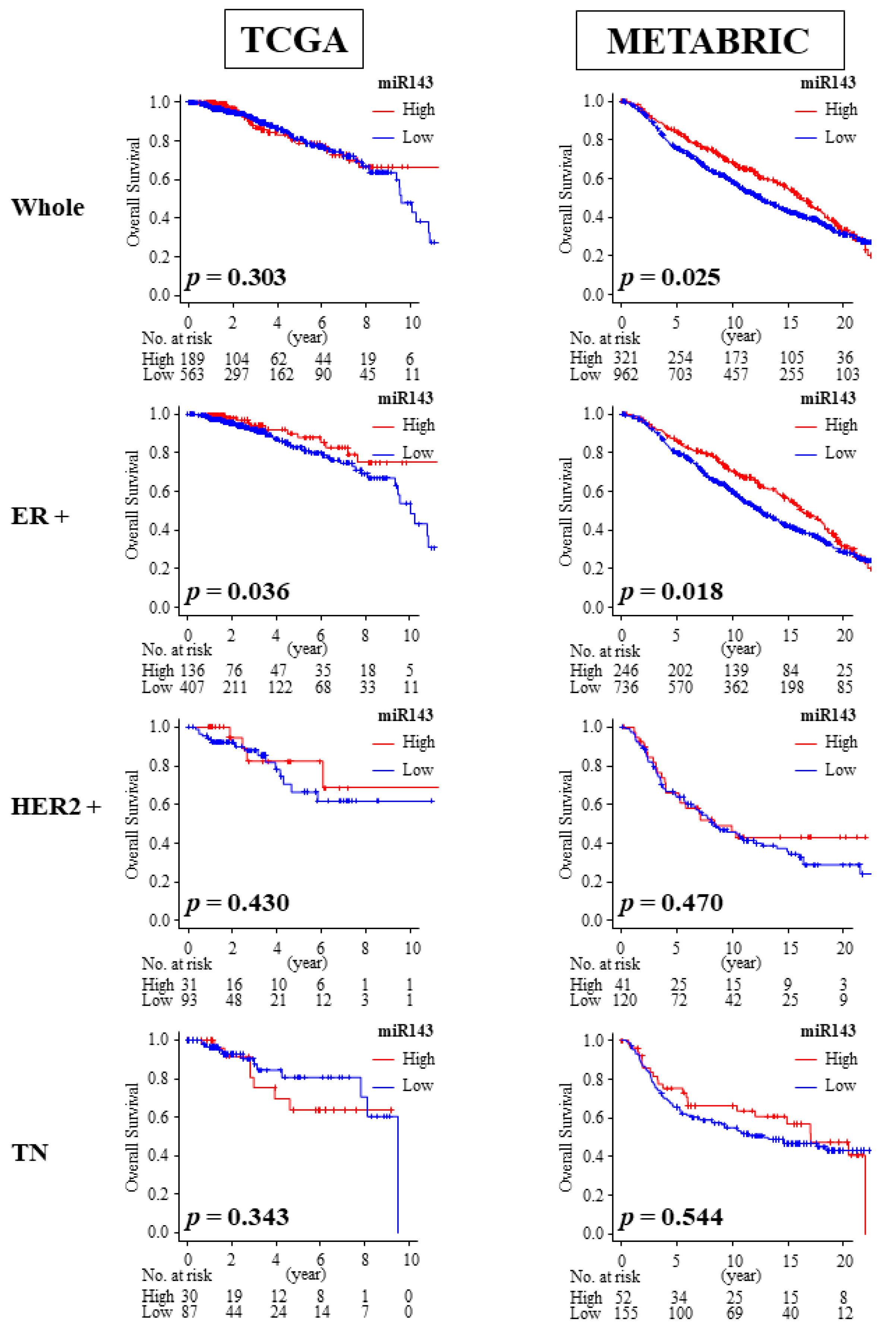 Ijms 21 03213 g005 Ijms 21 03213 g005