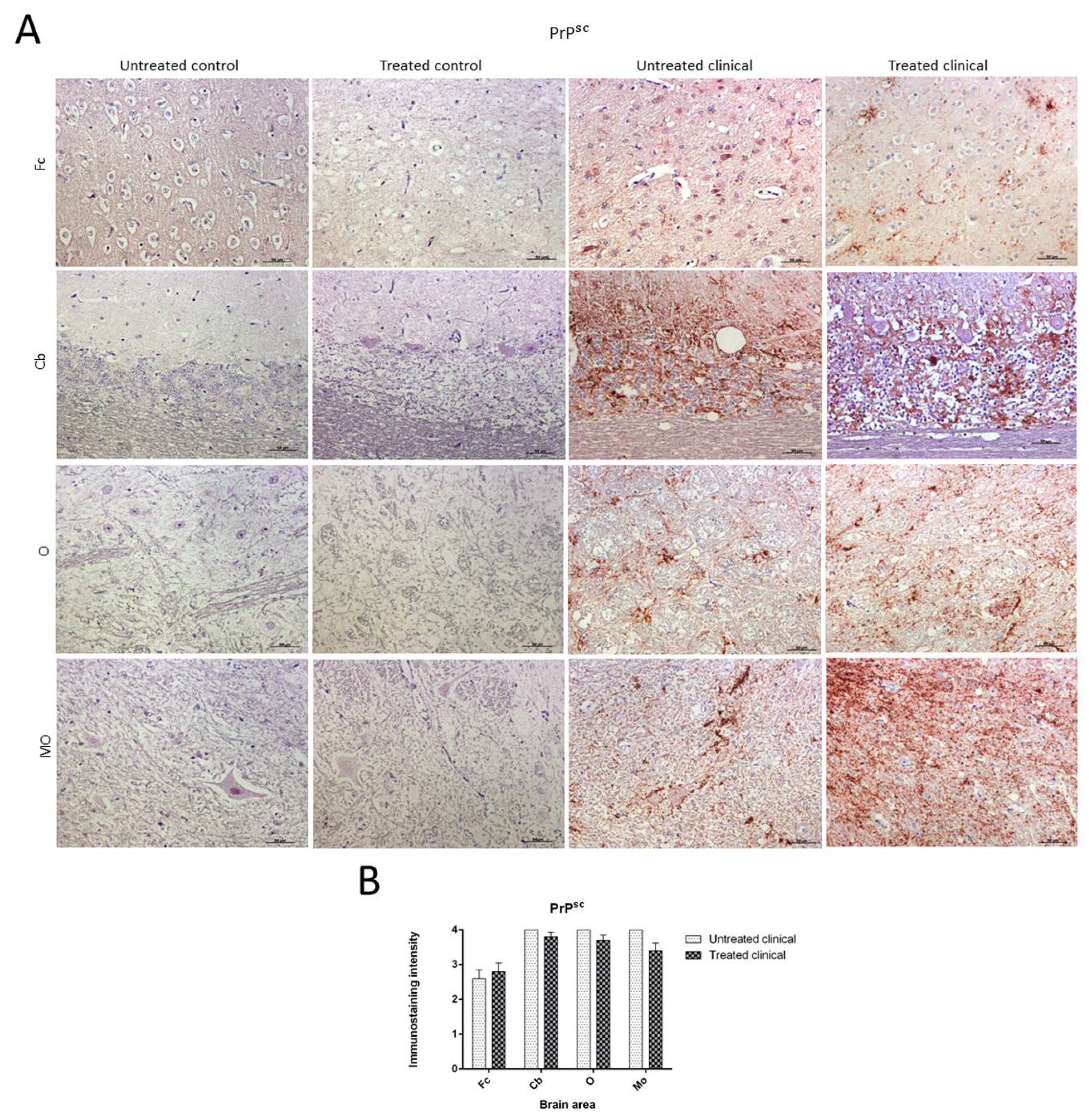 Ijms 21 03231 g004 Ijms 21 03231 g004