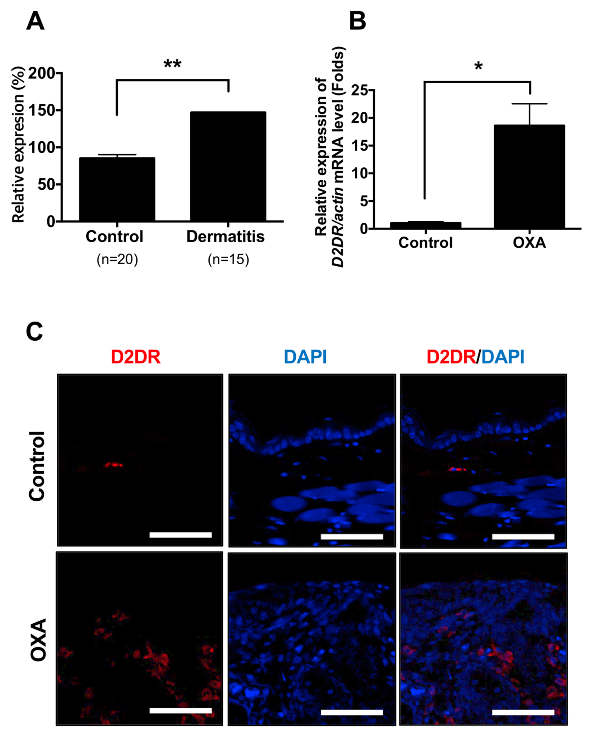 Ijms 21 03241 g001 Ijms 21 03241 g001