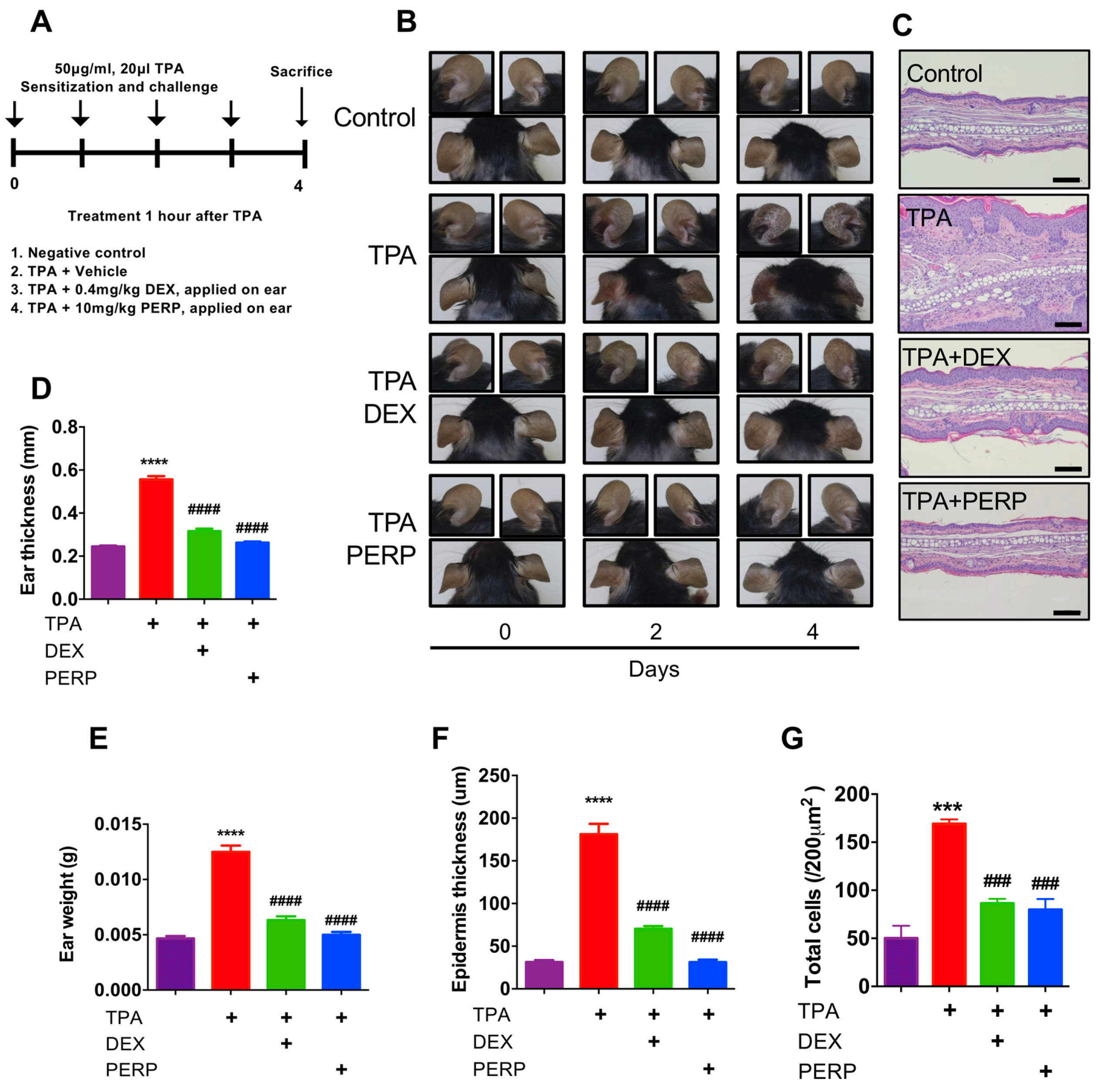 Ijms 21 03241 g002 Ijms 21 03241 g002