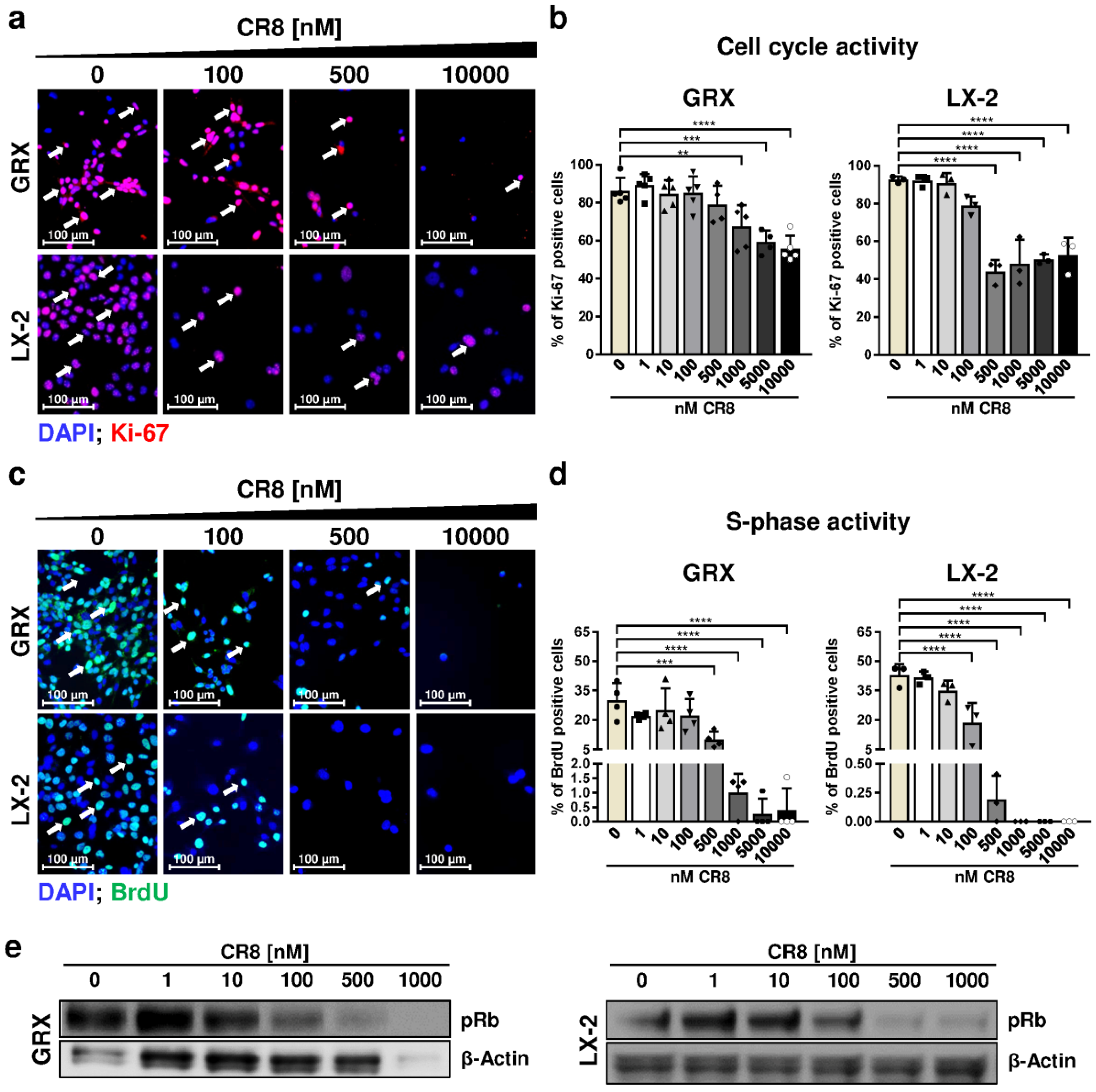 Ijms 21 03267 g002 Ijms 21 03267 g002