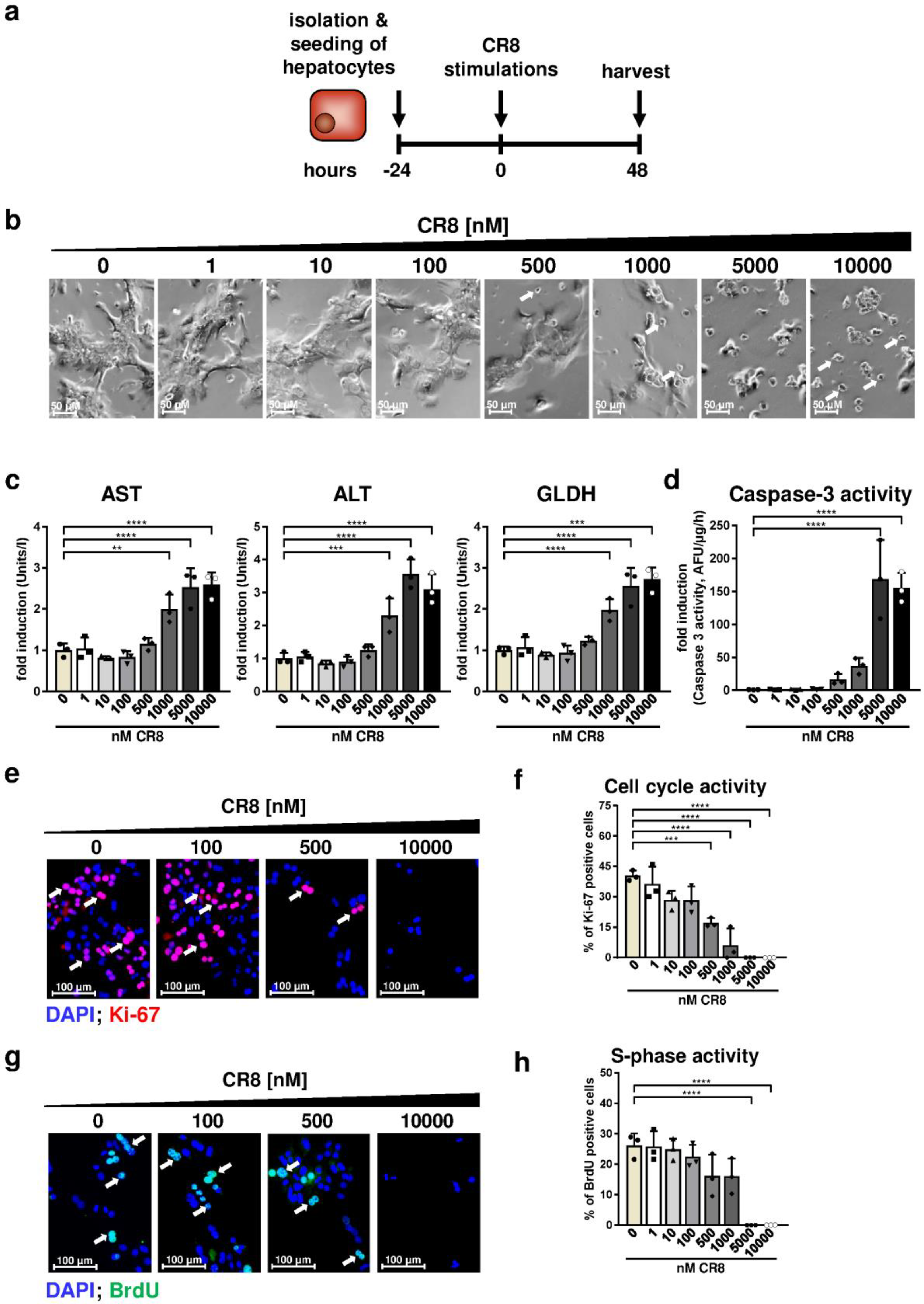 Ijms 21 03267 g006 Ijms 21 03267 g006