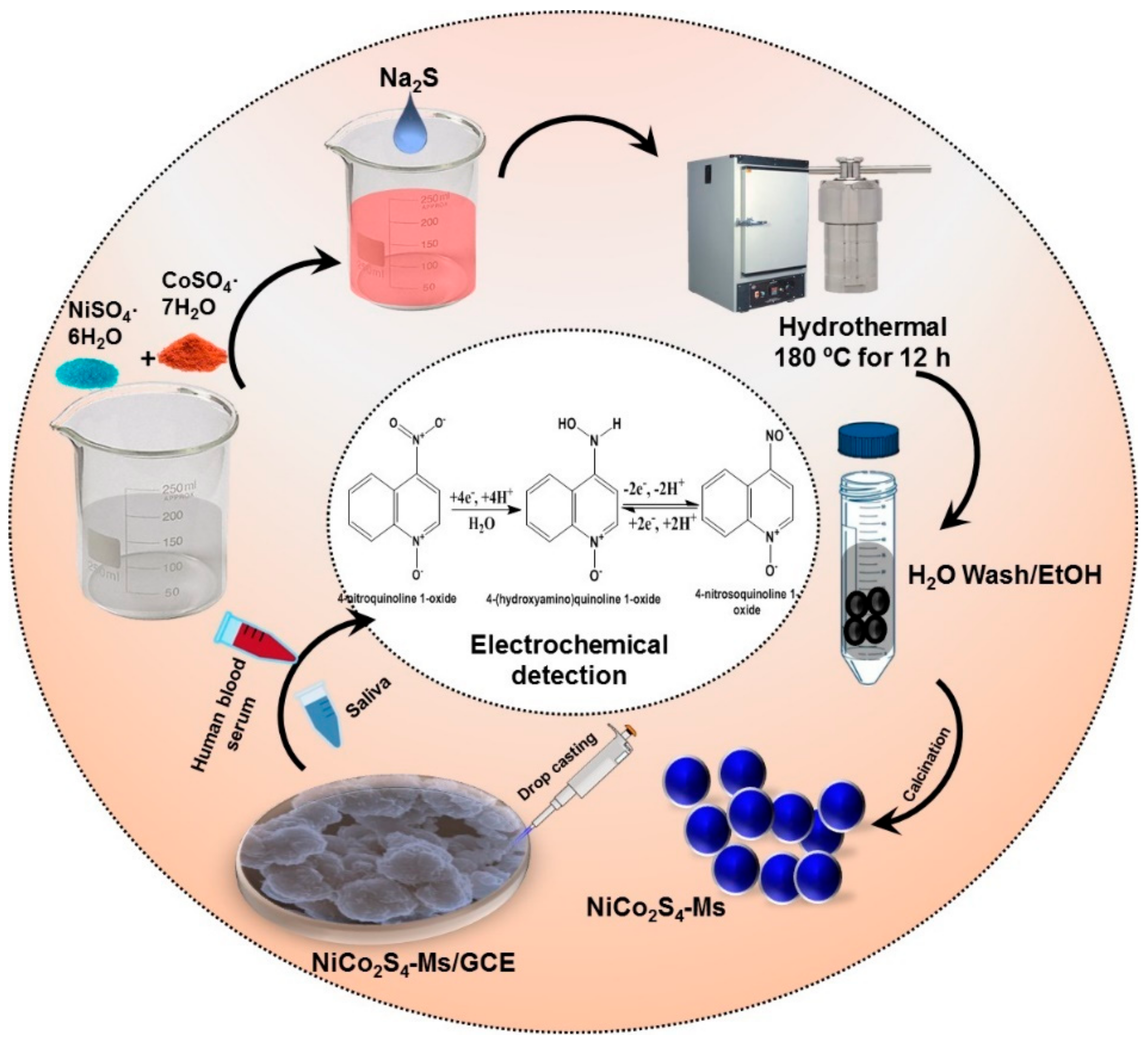 Ijms 21 03273 sch001