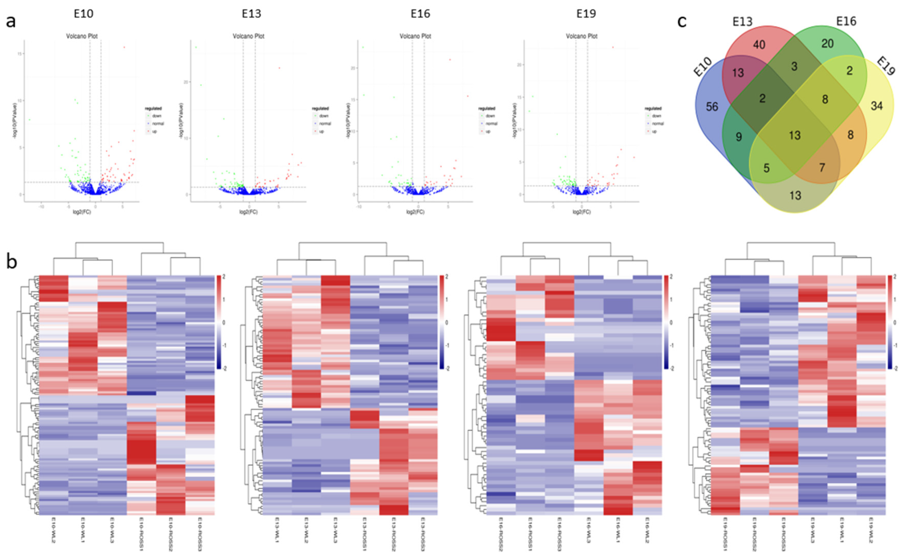 Ijms 21 03274 g002 Ijms 21 03274 g002