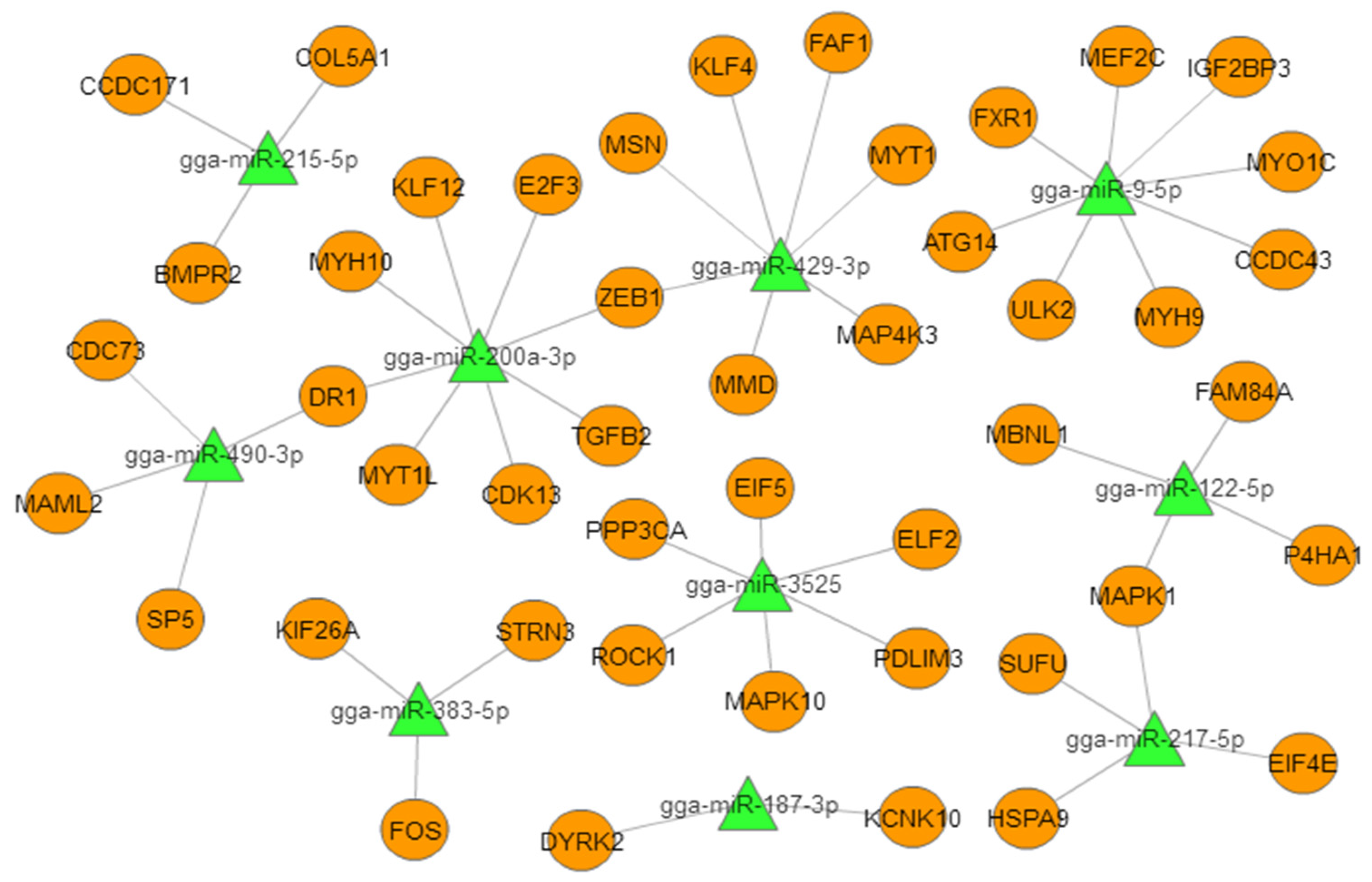 Ijms 21 03274 g003 Ijms 21 03274 g003