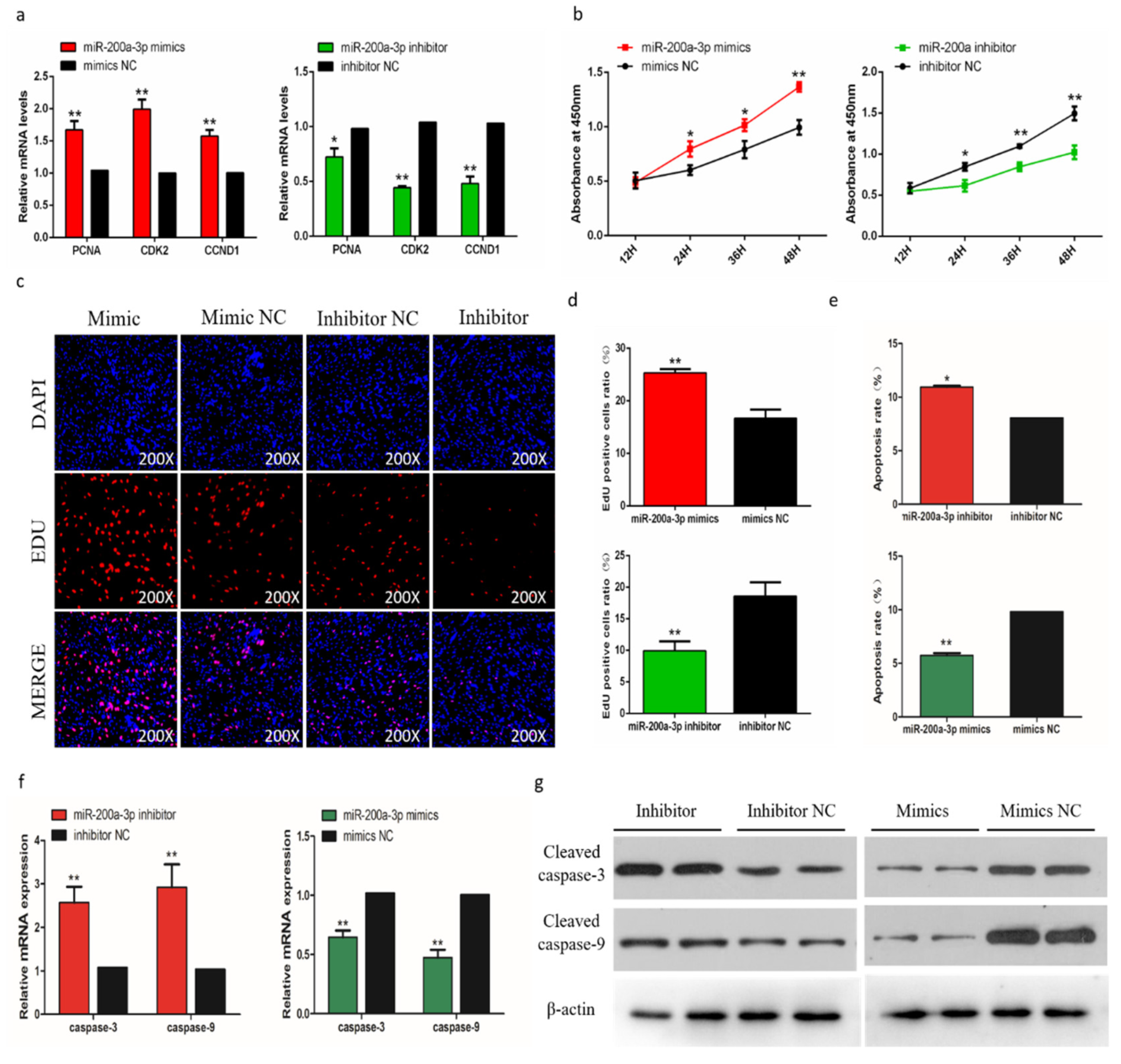 Ijms 21 03274 g006 Ijms 21 03274 g006