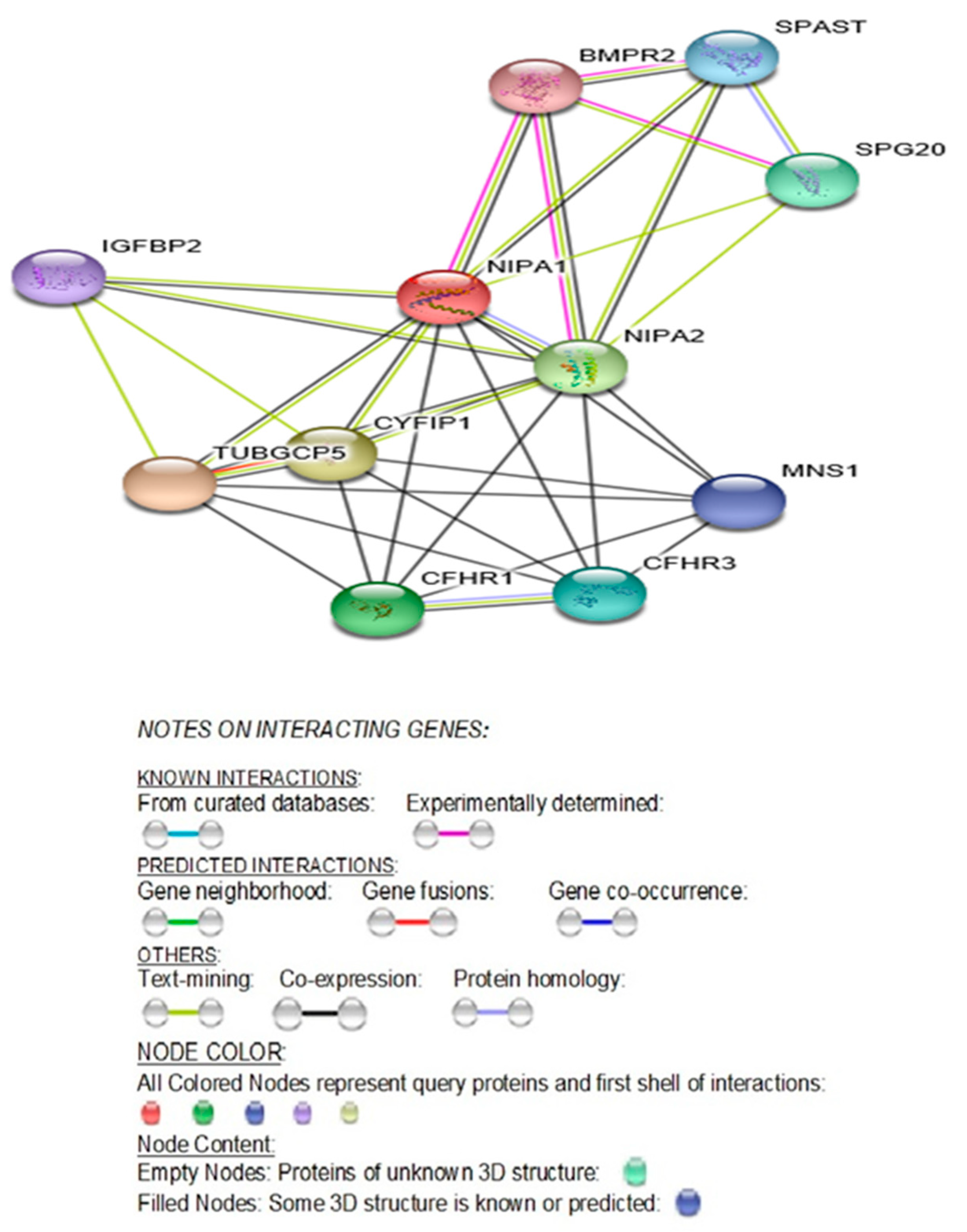 Ijms 21 03296 g002 Ijms 21 03296 g002