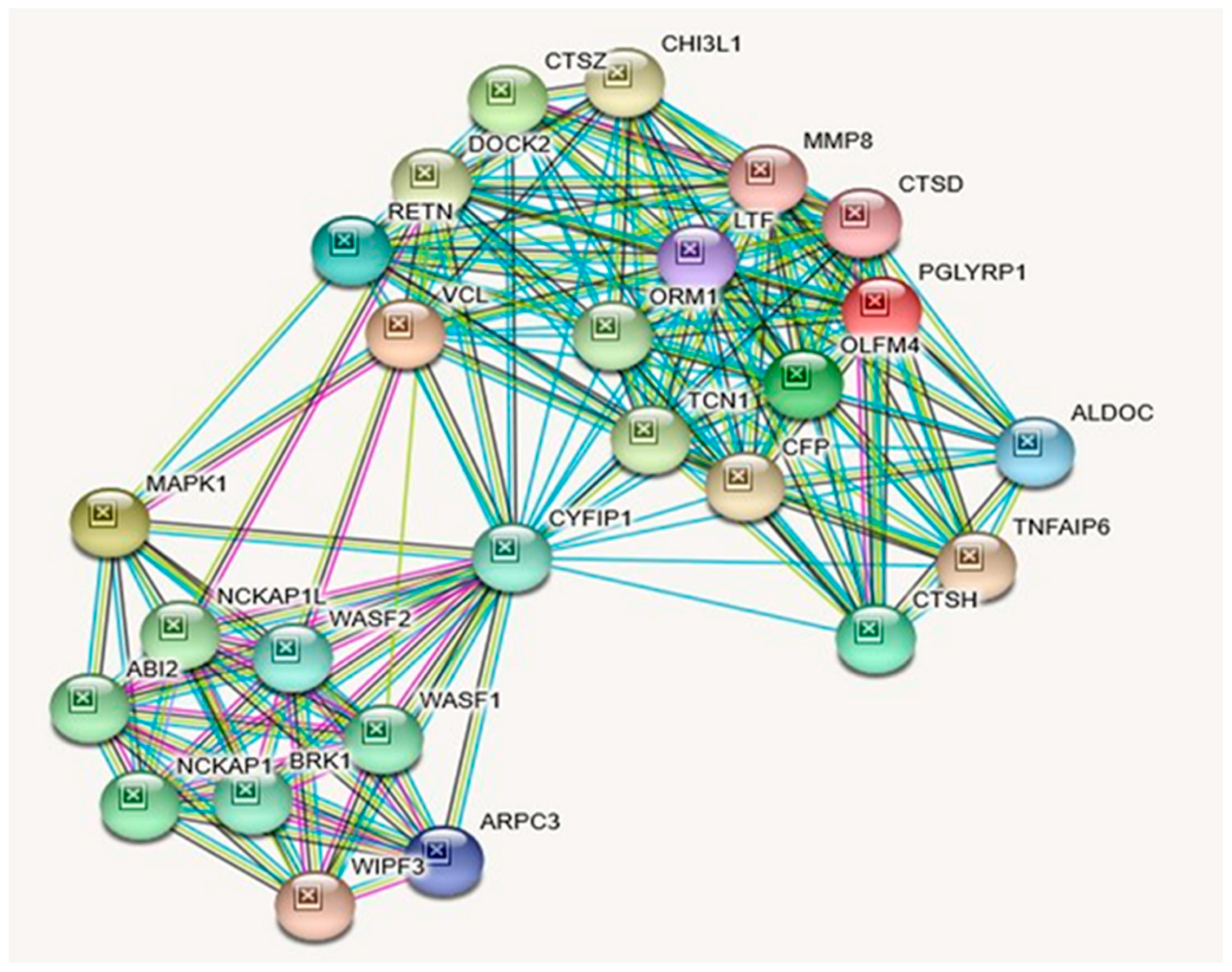 Ijms 21 03296 g005 Ijms 21 03296 g005