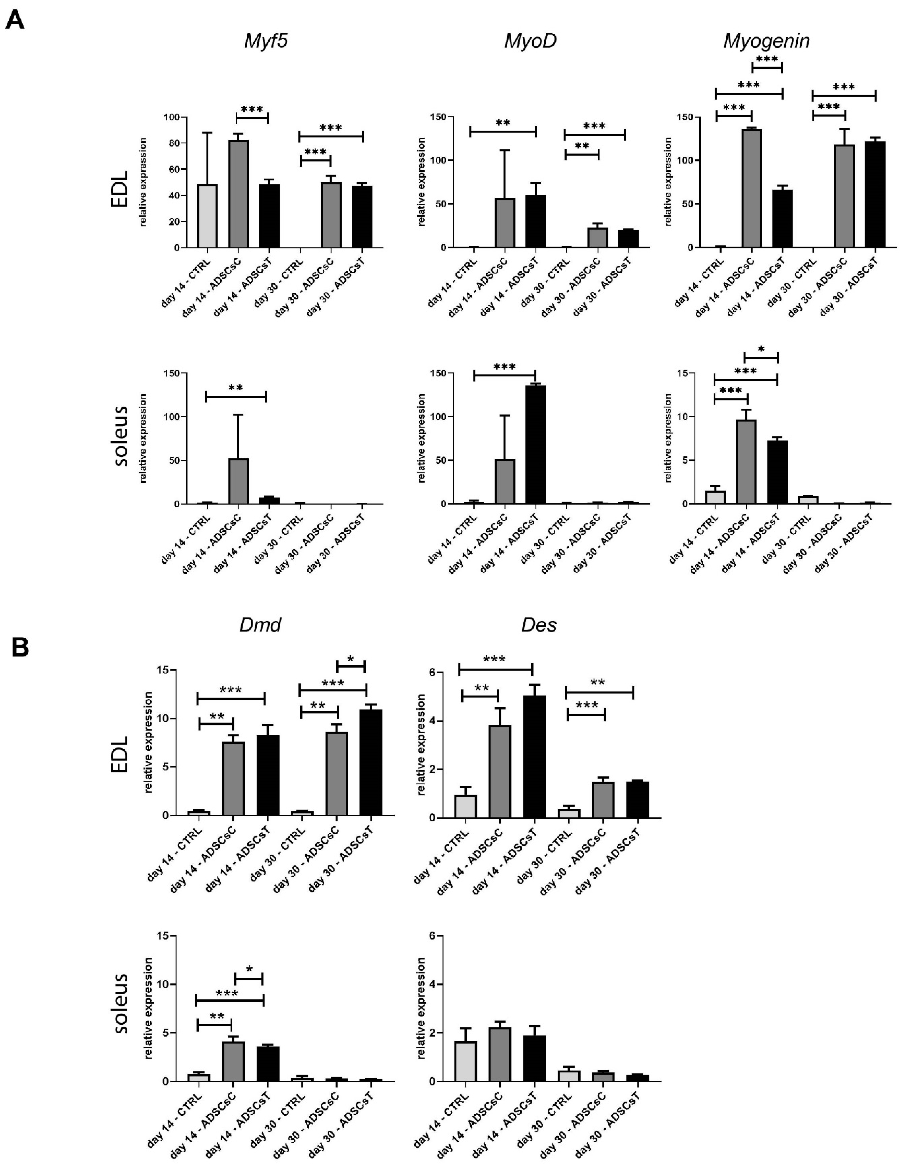 Ijms 21 03302 g005 Ijms 21 03302 g005