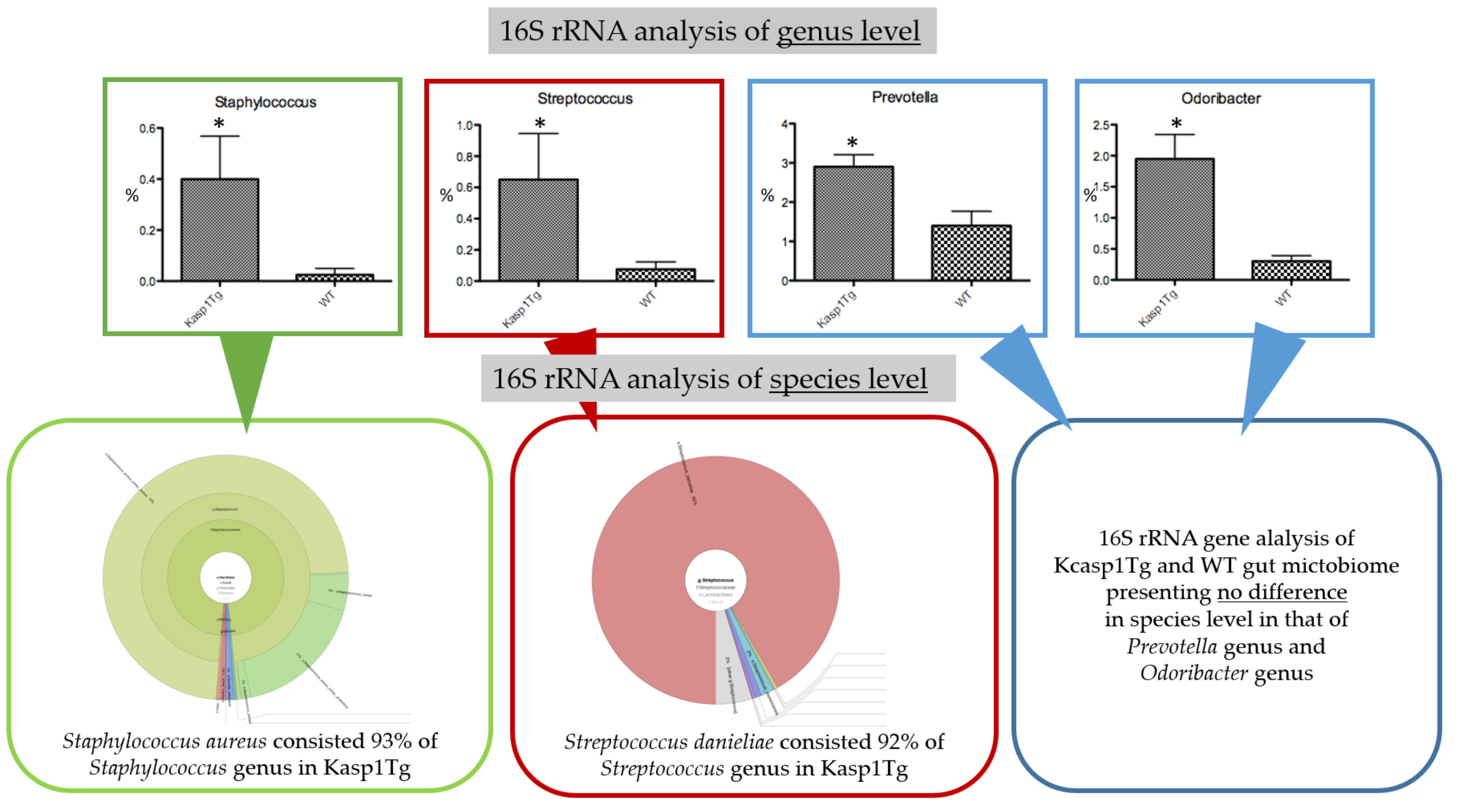 Ijms 21 03303 g001 Ijms 21 03303 g001