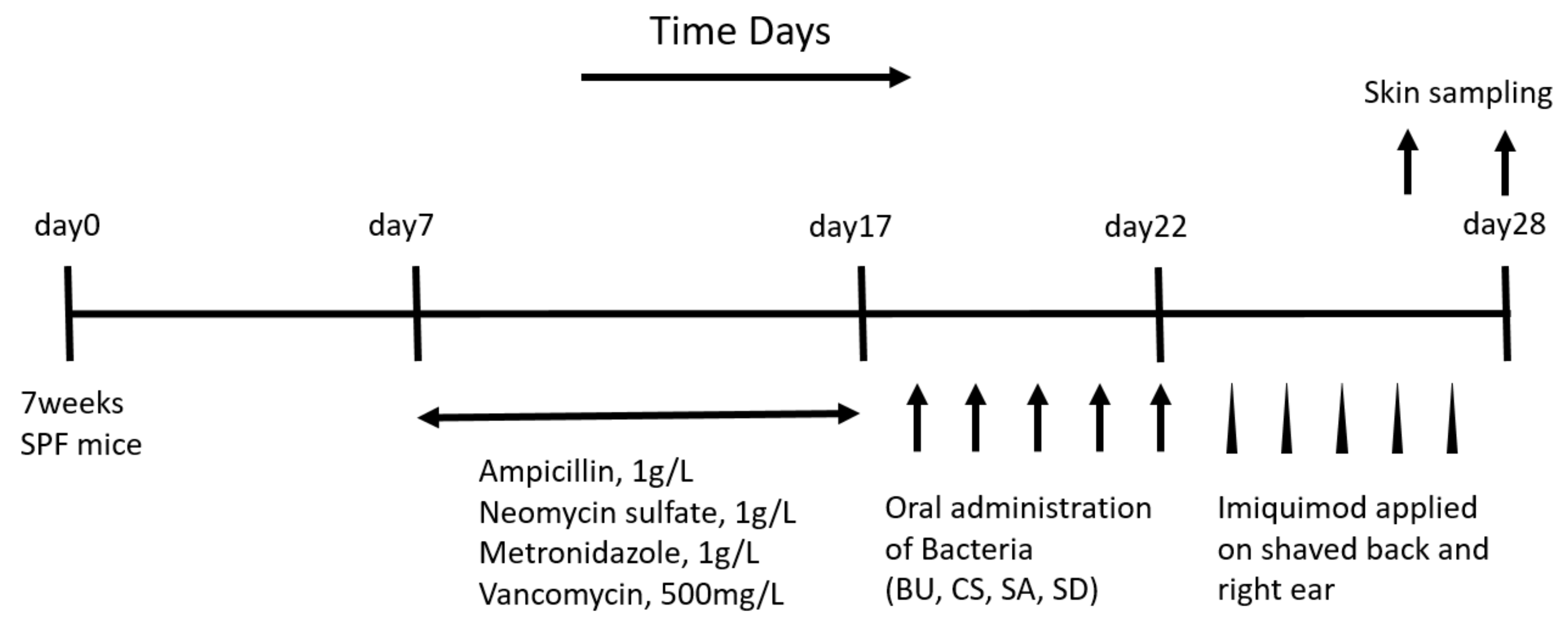 Ijms 21 03303 g002 Ijms 21 03303 g002