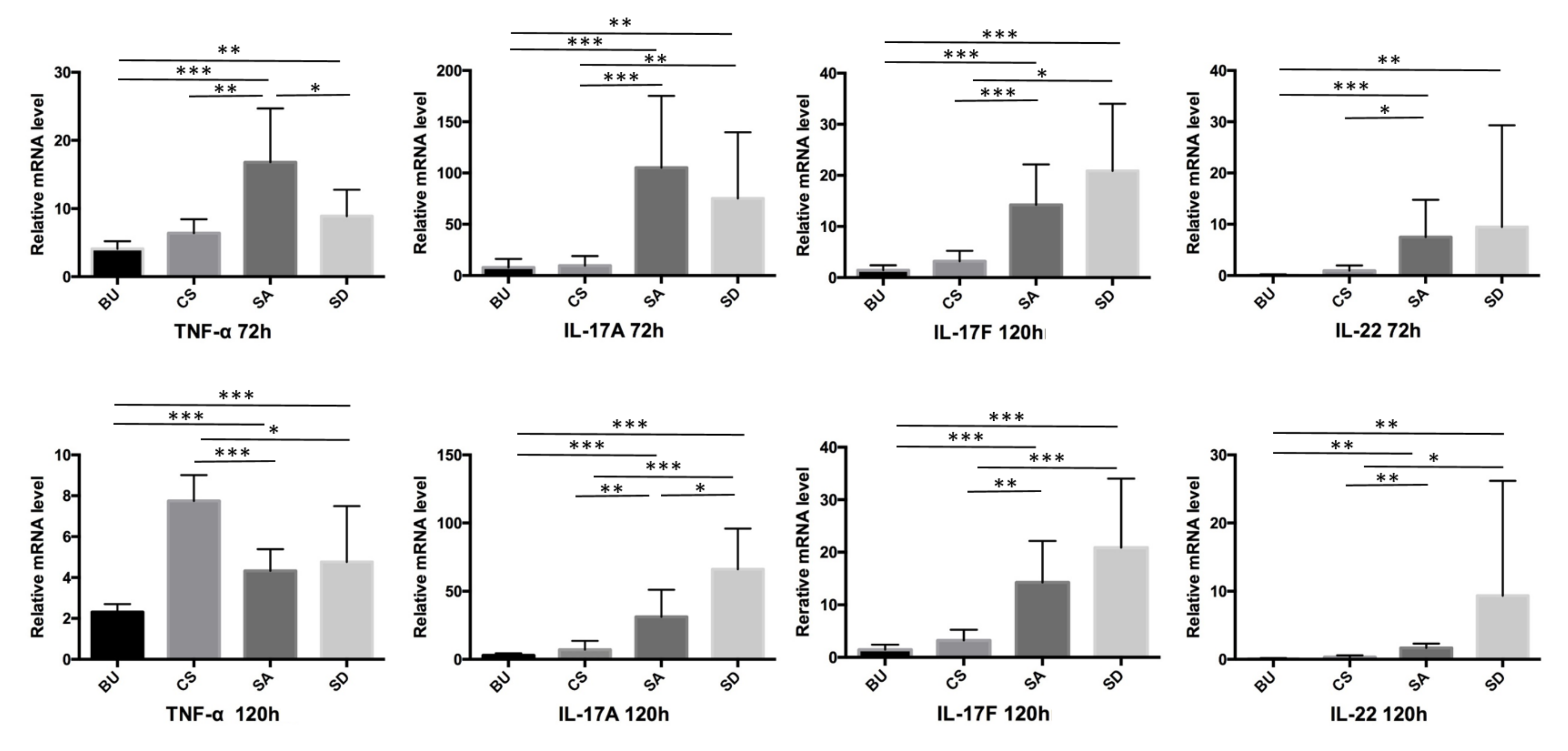 Ijms 21 03303 g004 Ijms 21 03303 g004