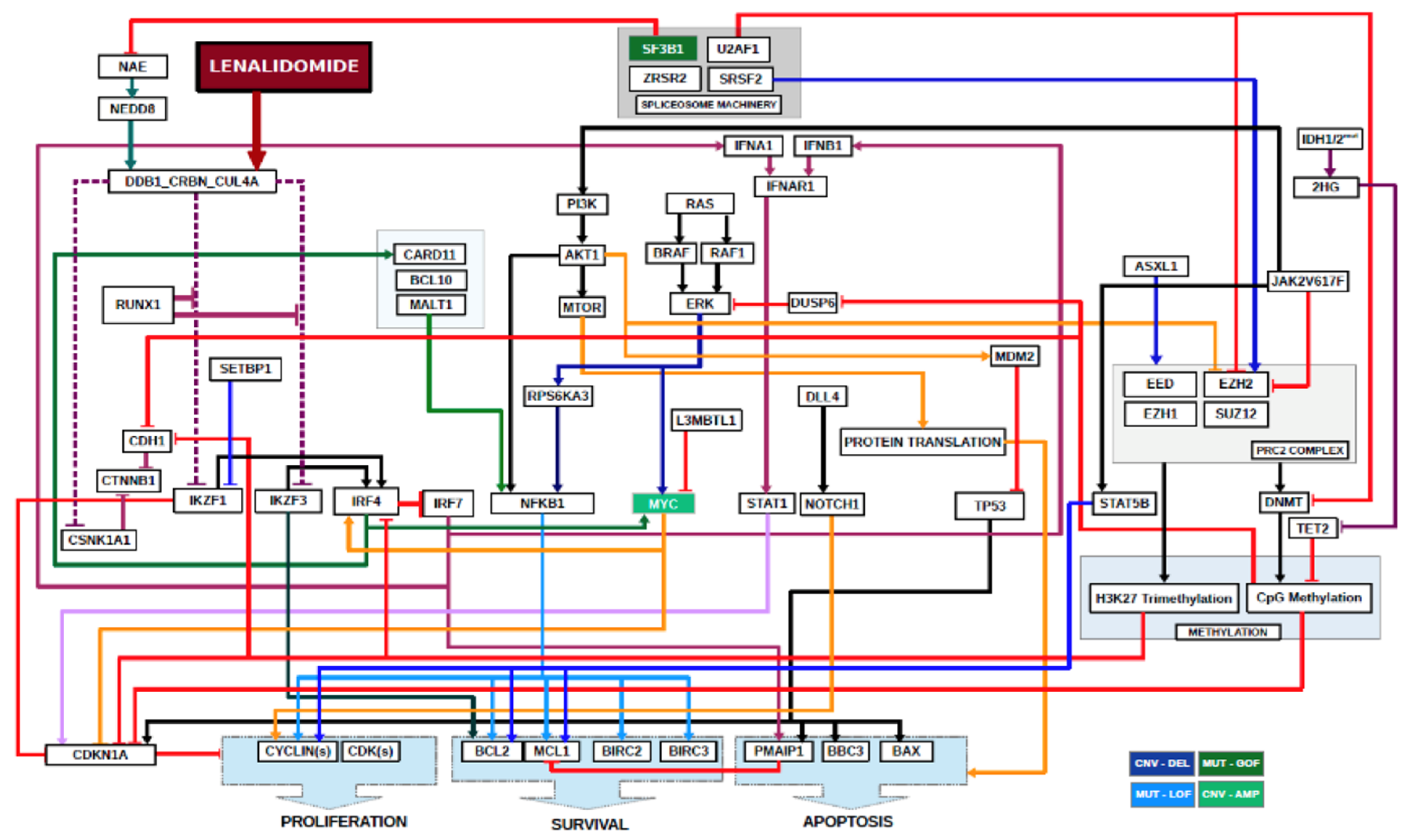 Ijms 21 03323 g004 Ijms 21 03323 g004